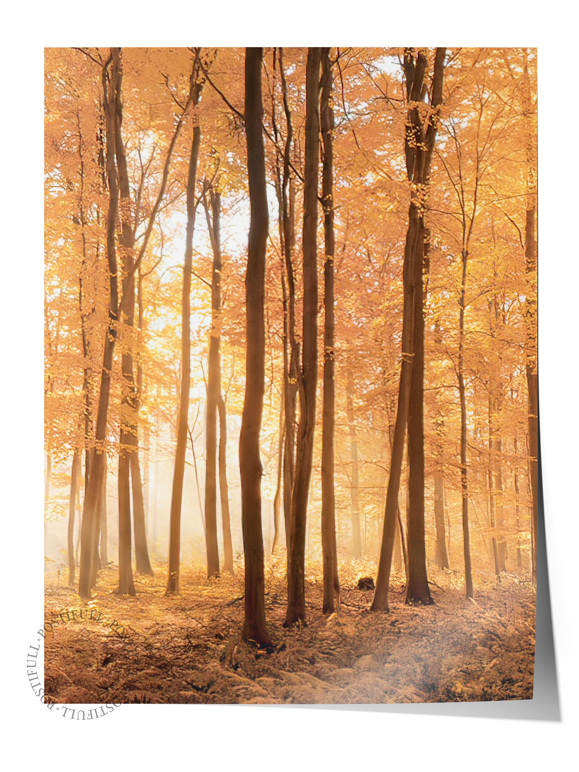 Autumn Trees Poster, Çerçevesiz Duvar Posteri, Dikey Duvar Tablosu Comfort Serisi NO:108347