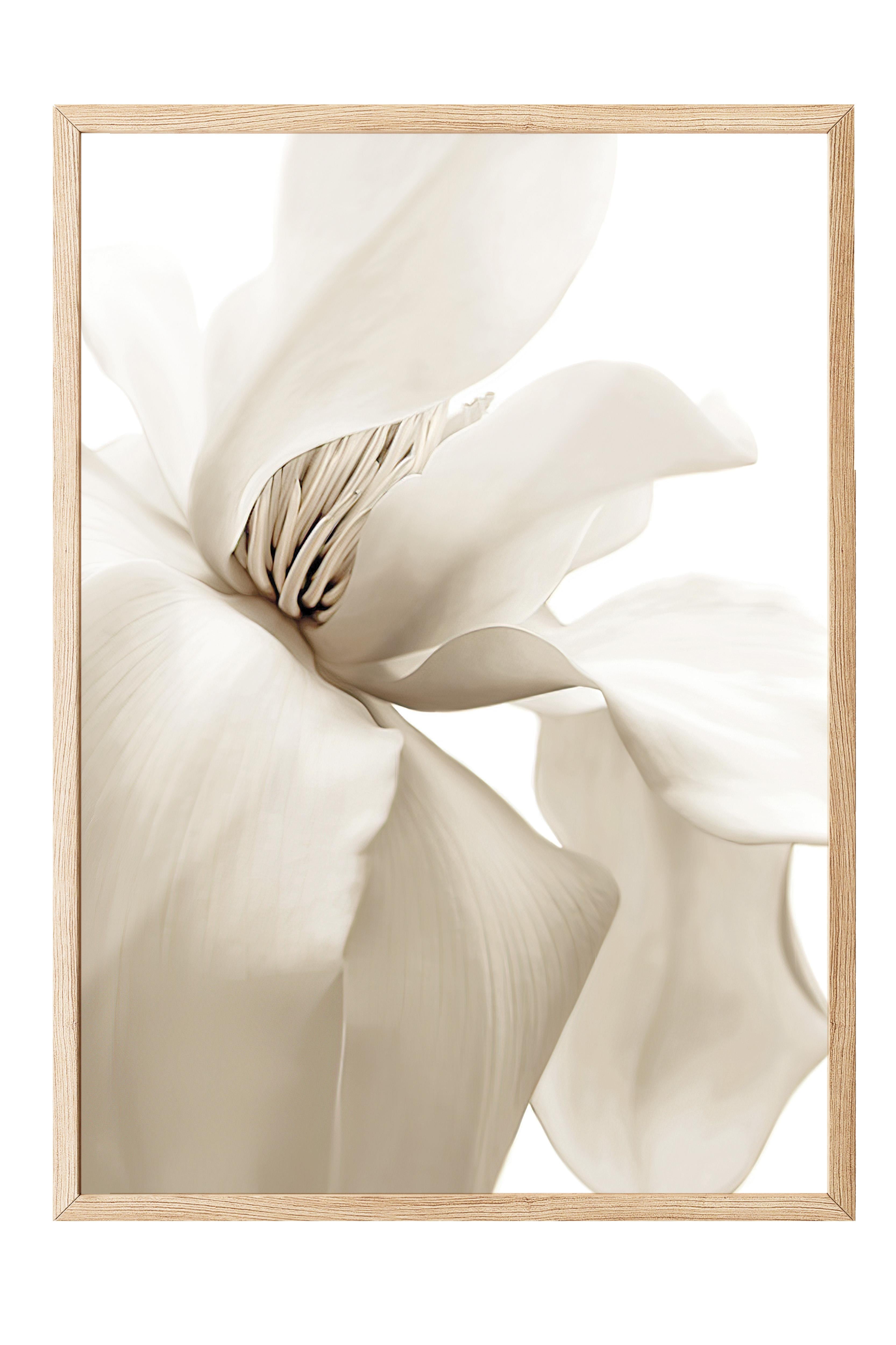 Beige Magnolia Yılbaşı Tablo, Ahşap Çerçeve ve Poster, Duvar Tablosu Comfort Serisi NO:108414