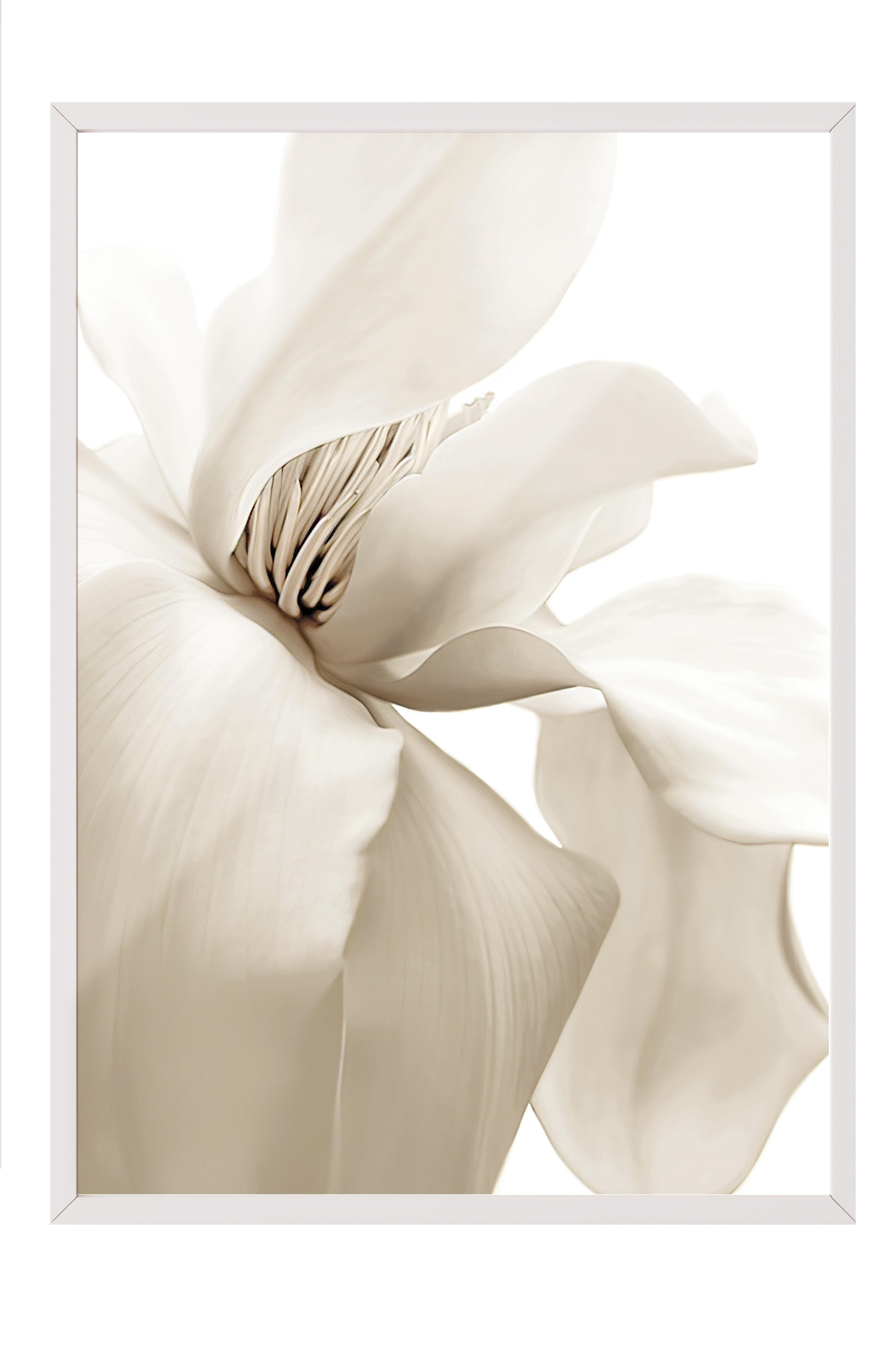 Beige Magnolia Yılbaşı Tablo, Beyaz Çerçeve ve Poster, Duvar Tablosu Comfort Serisi NO:108414
