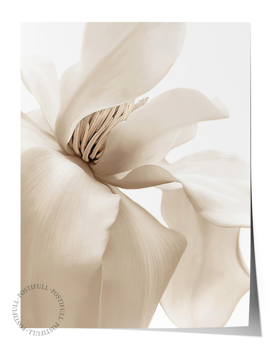 Beige Magnolia Poster, Yılbaşı Duvar Posteri, Dikey Duvar Tablosu Comfort Serisi NO:108414