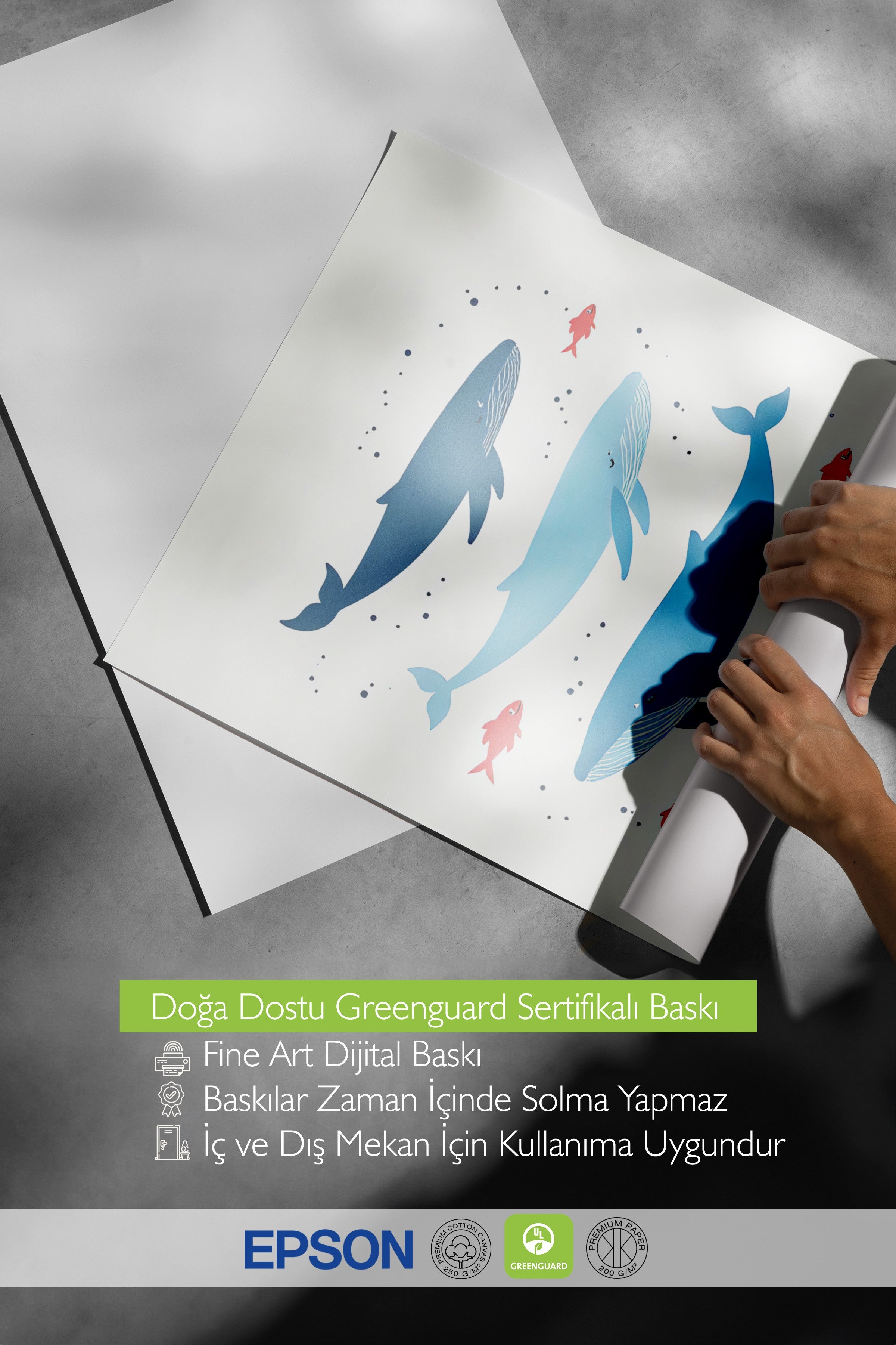 Beyaz Çerçeveli Poster, Balina, İllüstrasyon, Mavi Renk Poster, 2025 Yaz Seçkisi, NO:109622