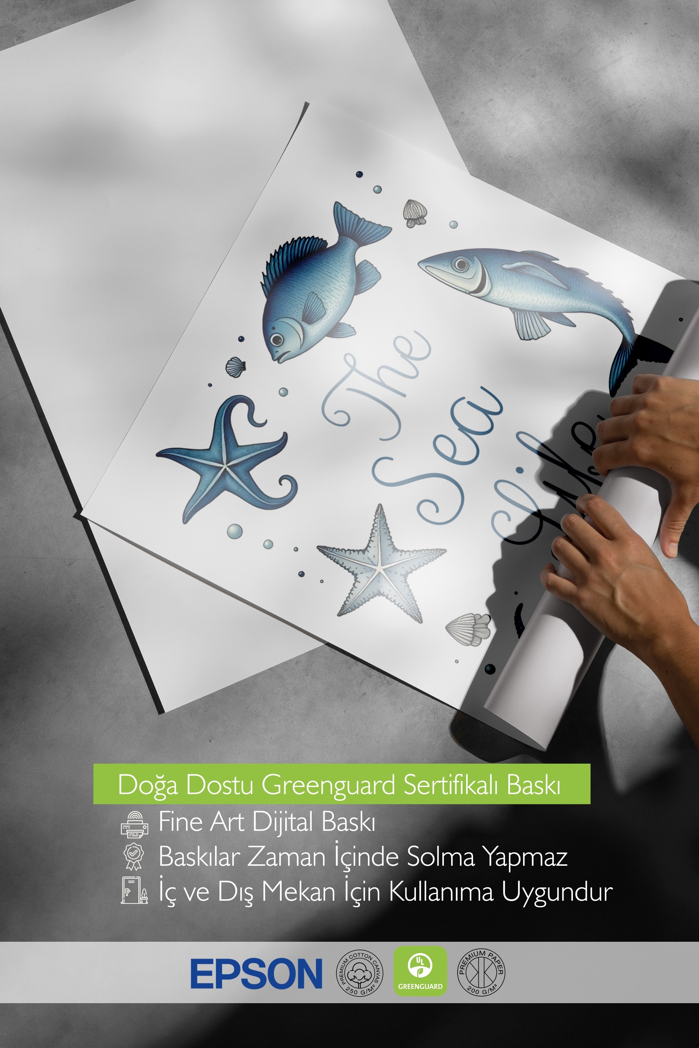 Beyaz Çerçeveli Poster, Deniz Hayatı, İllüstrasyon, Mavi Renk Poster, 2025 Yaz Seçkisi, NO:109593