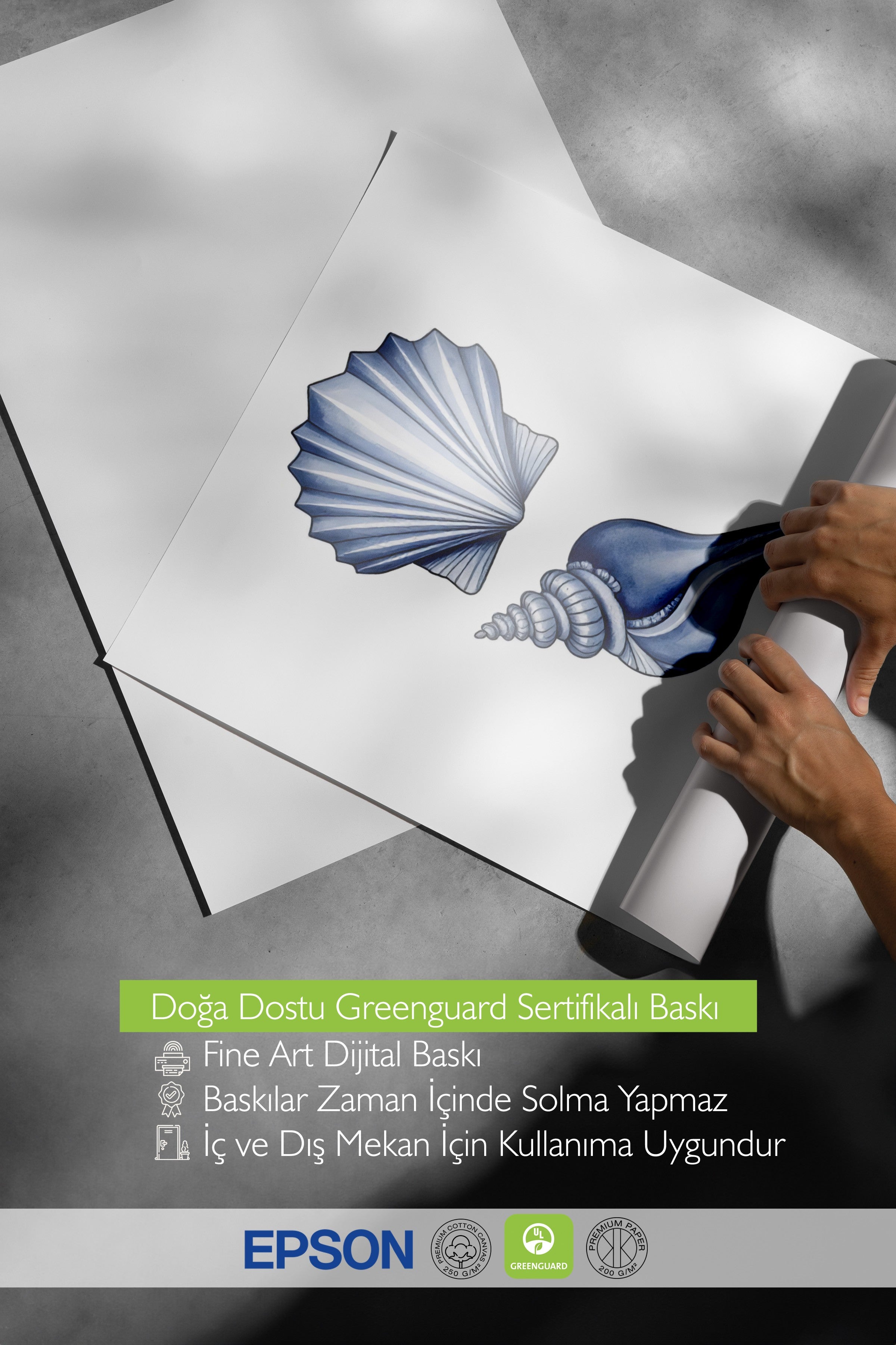 Beyaz Çerçeveli Poster, Deniz Kabuğu, İllüstrasyon, Mavi Renk Poster, 2025 Yaz Seçkisi, NO:109546