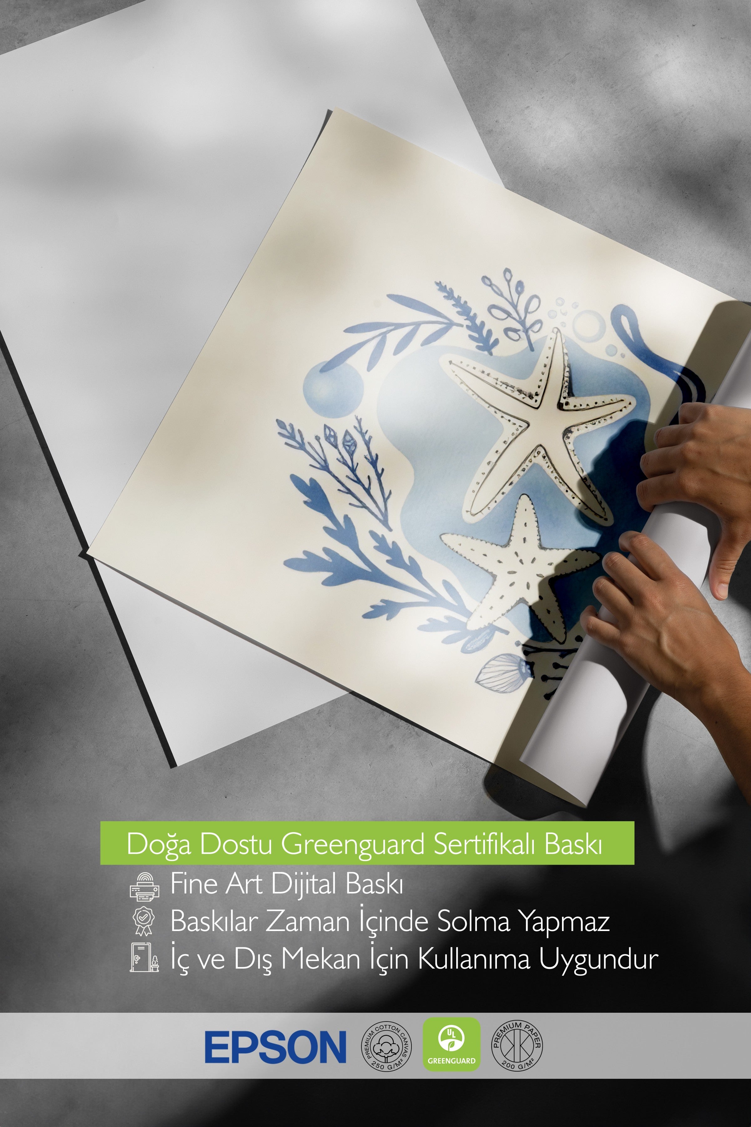 Beyaz Çerçeveli Poster, Deniz Kabuğu, İllüstrasyon, Mavi Renk Poster, 2025 Yaz Seçkisi, NO:109552