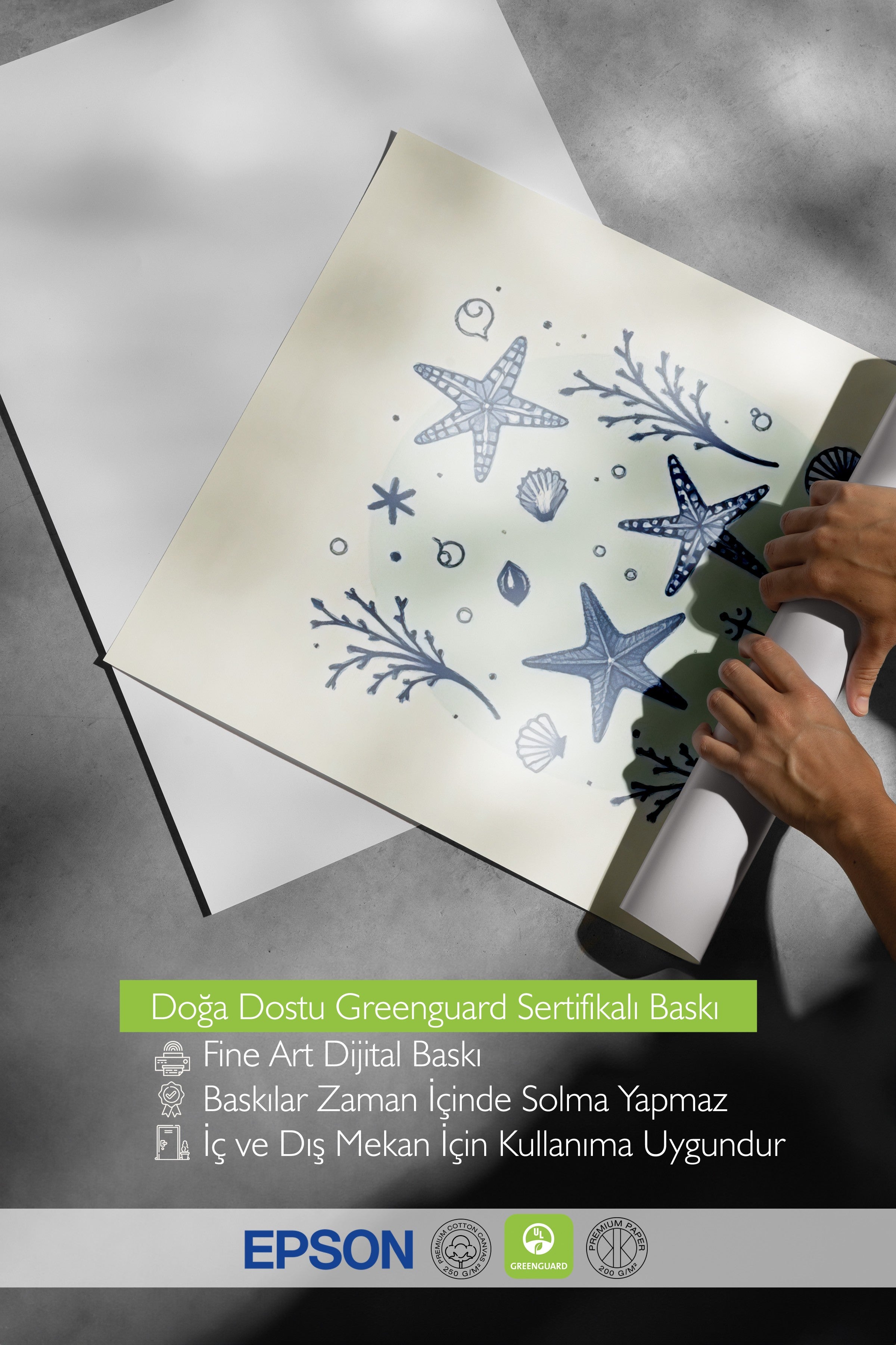 Beyaz Çerçeveli Poster, Deniz Kabuğu, İllüstrasyon, Mavi Renk Poster, 2025 Yaz Seçkisi, NO:109553