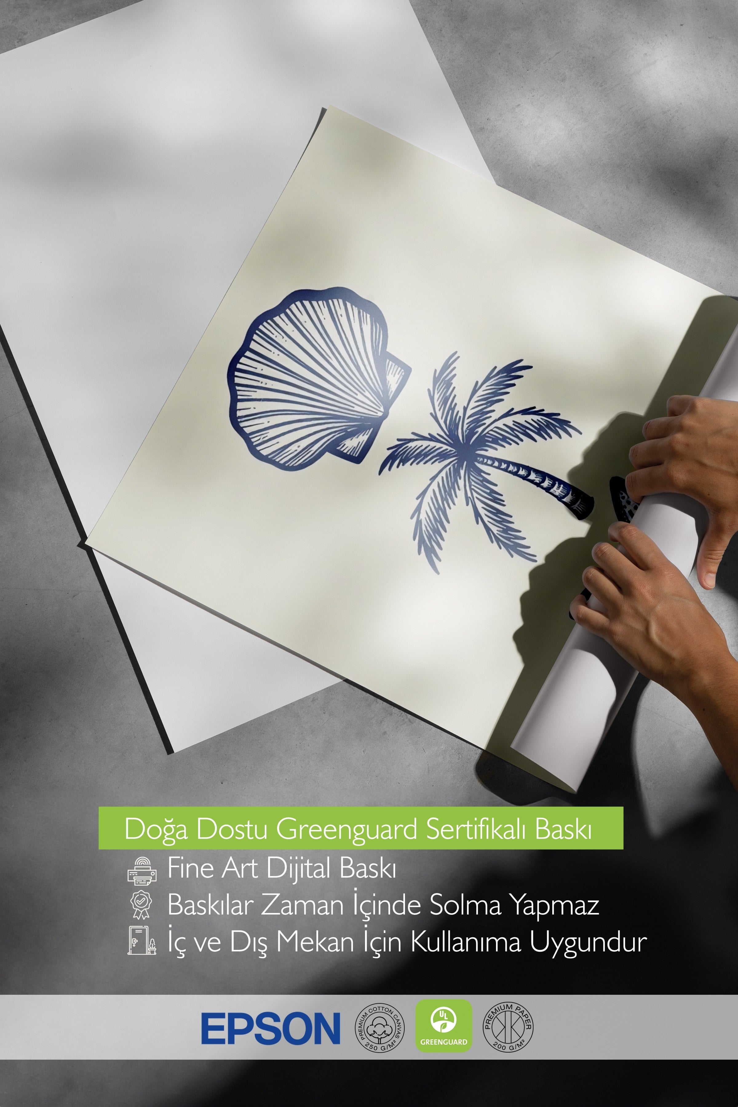 Beyaz Çerçeveli Poster, Deniz Kabuğu, İllüstrasyon, Mavi Renk Poster, 2025 Yaz Seçkisi, NO:109570