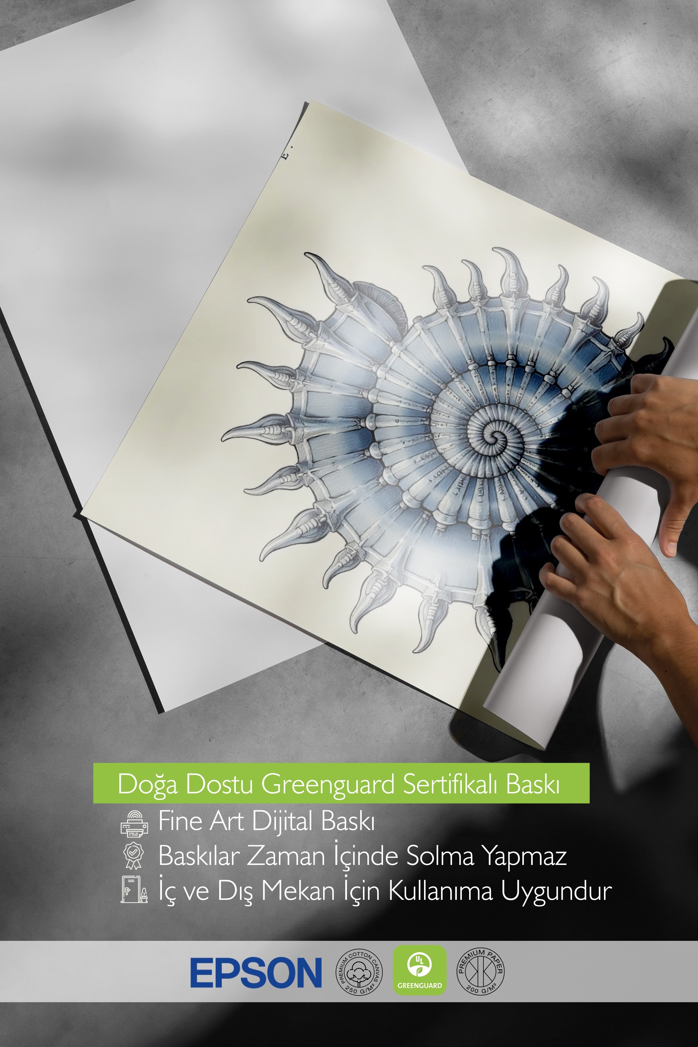 Beyaz Çerçeveli Poster, Deniz Kabuğu, İllüstrasyon, Mavi Renk Poster, 2025 Yaz Seçkisi, NO:109574