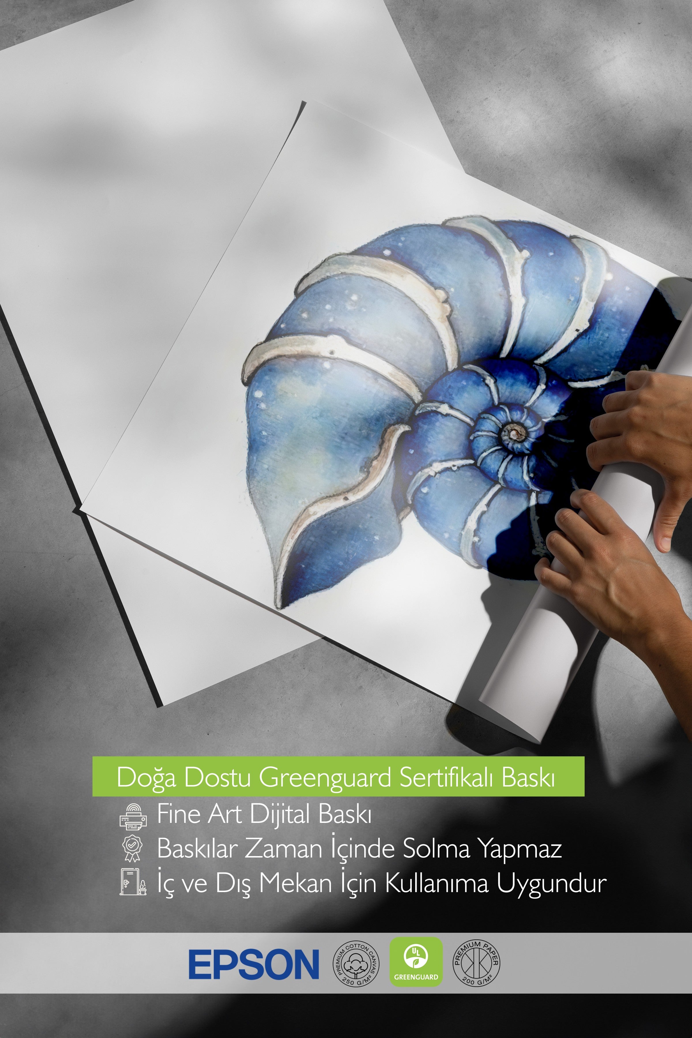 Beyaz Çerçeveli Poster, Deniz Kabuğu, İllüstrasyon, Mavi Renk Poster, 2025 Yaz Seçkisi, NO:109576