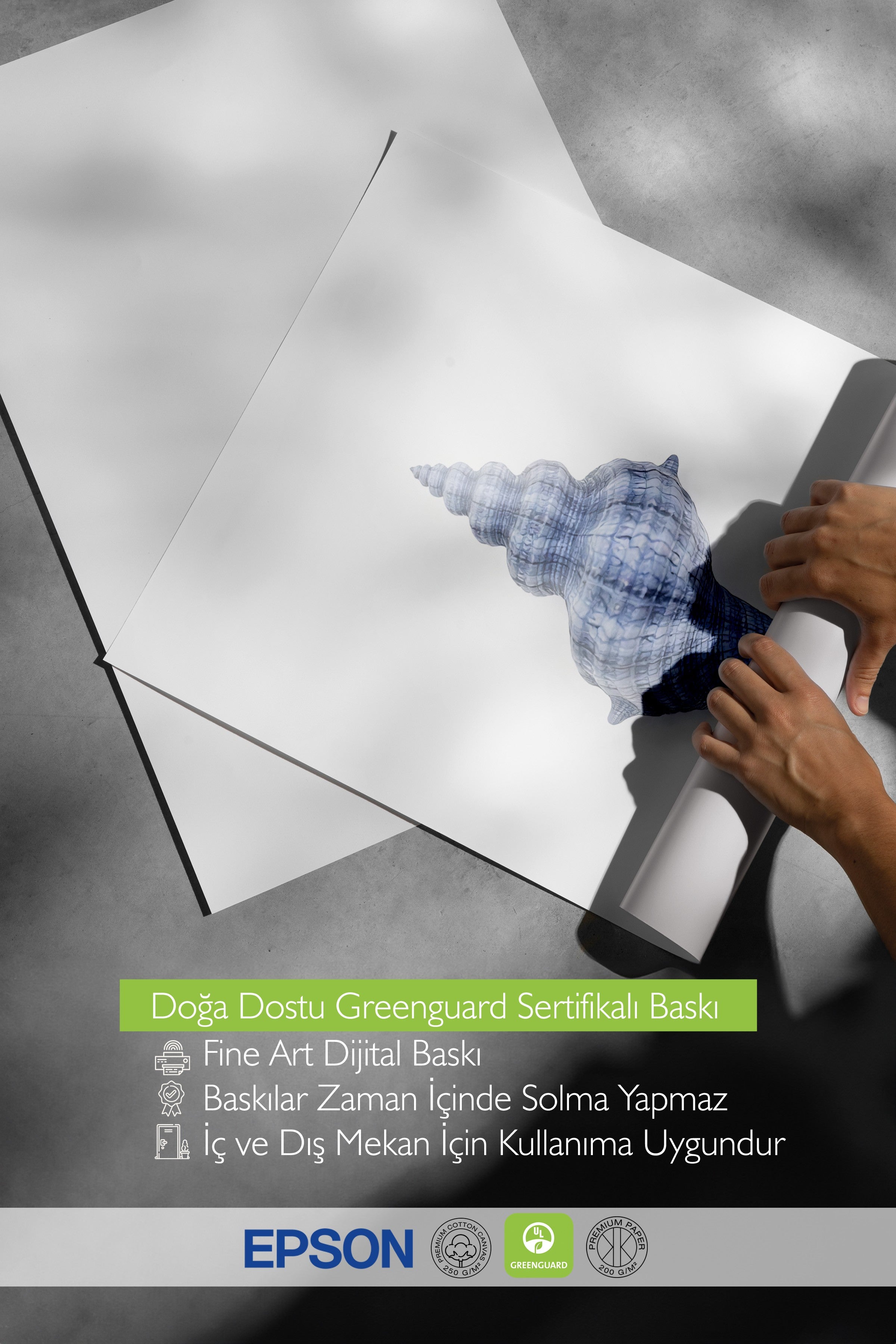 Beyaz Çerçeveli Poster, Deniz Kabuğu, İllüstrasyon, Mavi Renk Poster, 2025 Yaz Seçkisi, NO:109579