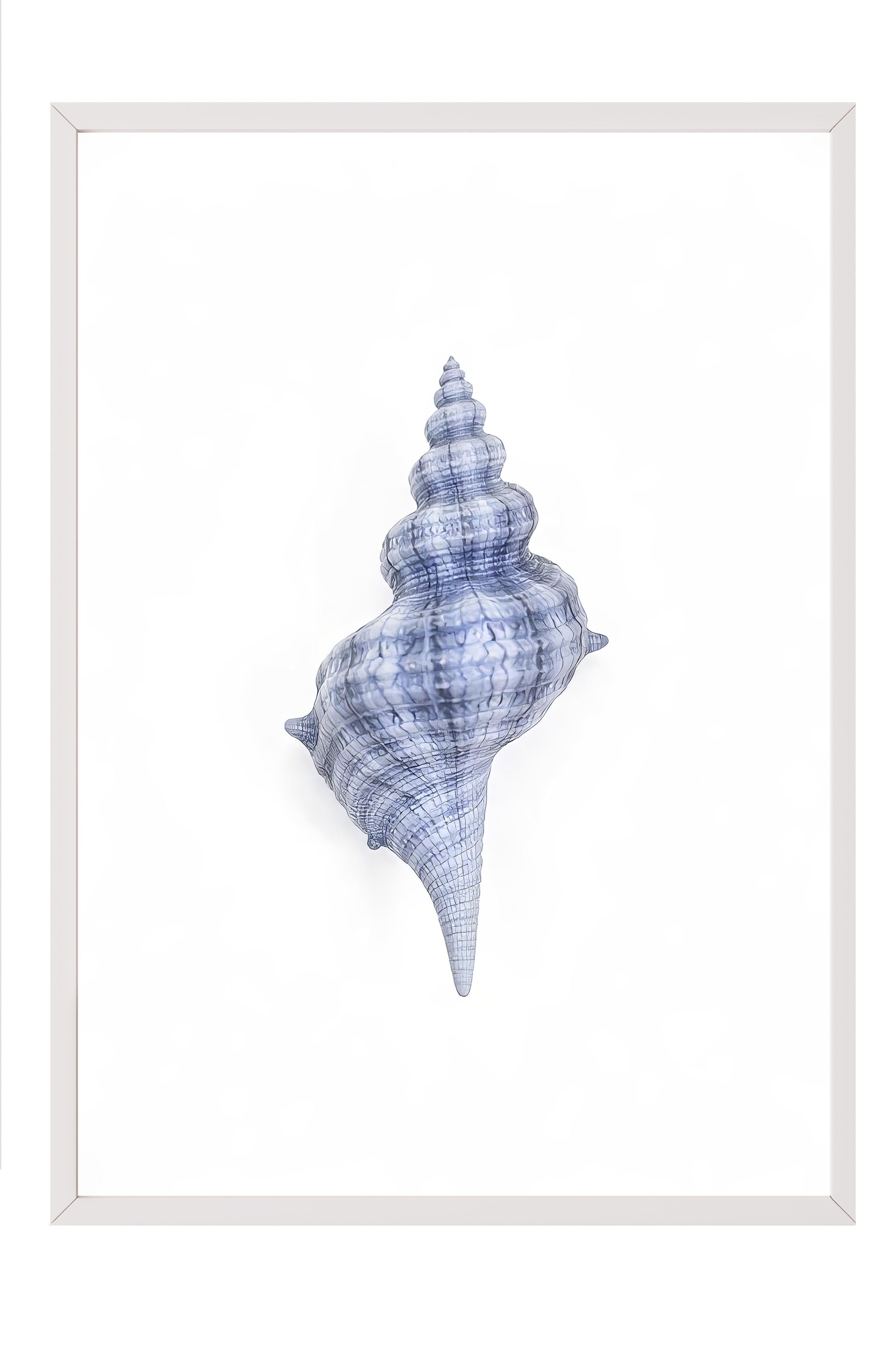 Beyaz Çerçeveli Poster, Deniz Kabuğu, İllüstrasyon, Mavi Renk Poster, 2025 Yaz Seçkisi, NO:109579