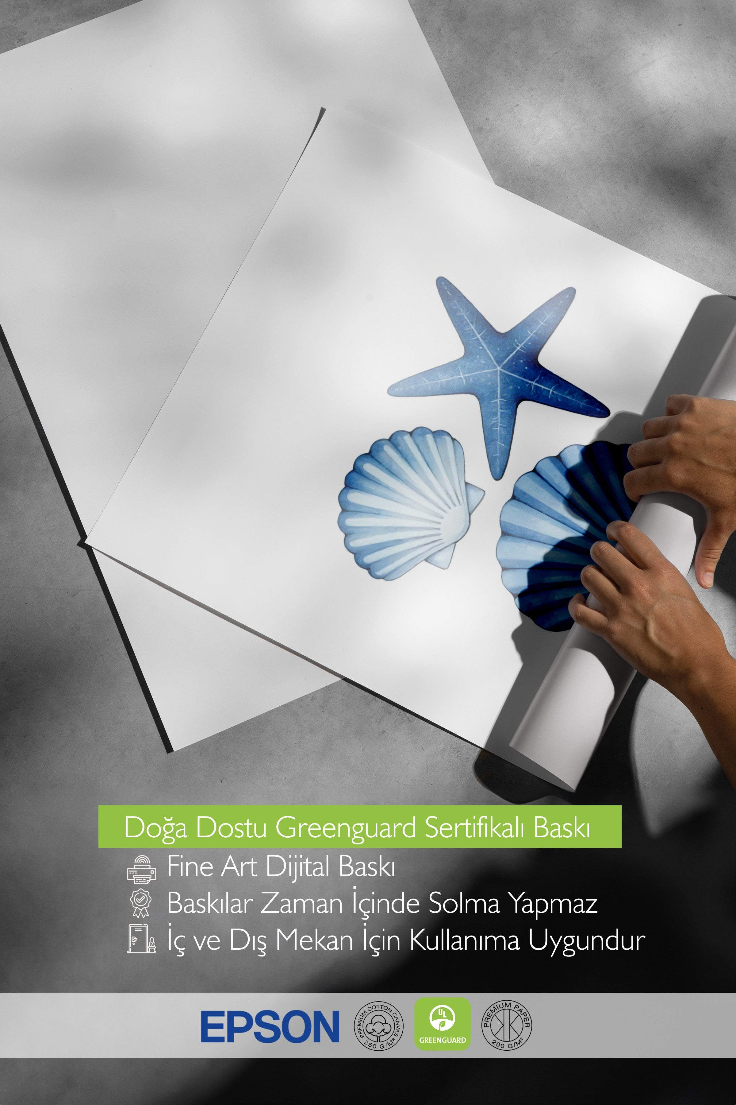 Beyaz Çerçeveli Poster, Deniz Kabuğu, İllüstrasyon, Mavi Renk Poster, 2025 Yaz Seçkisi, NO:109601