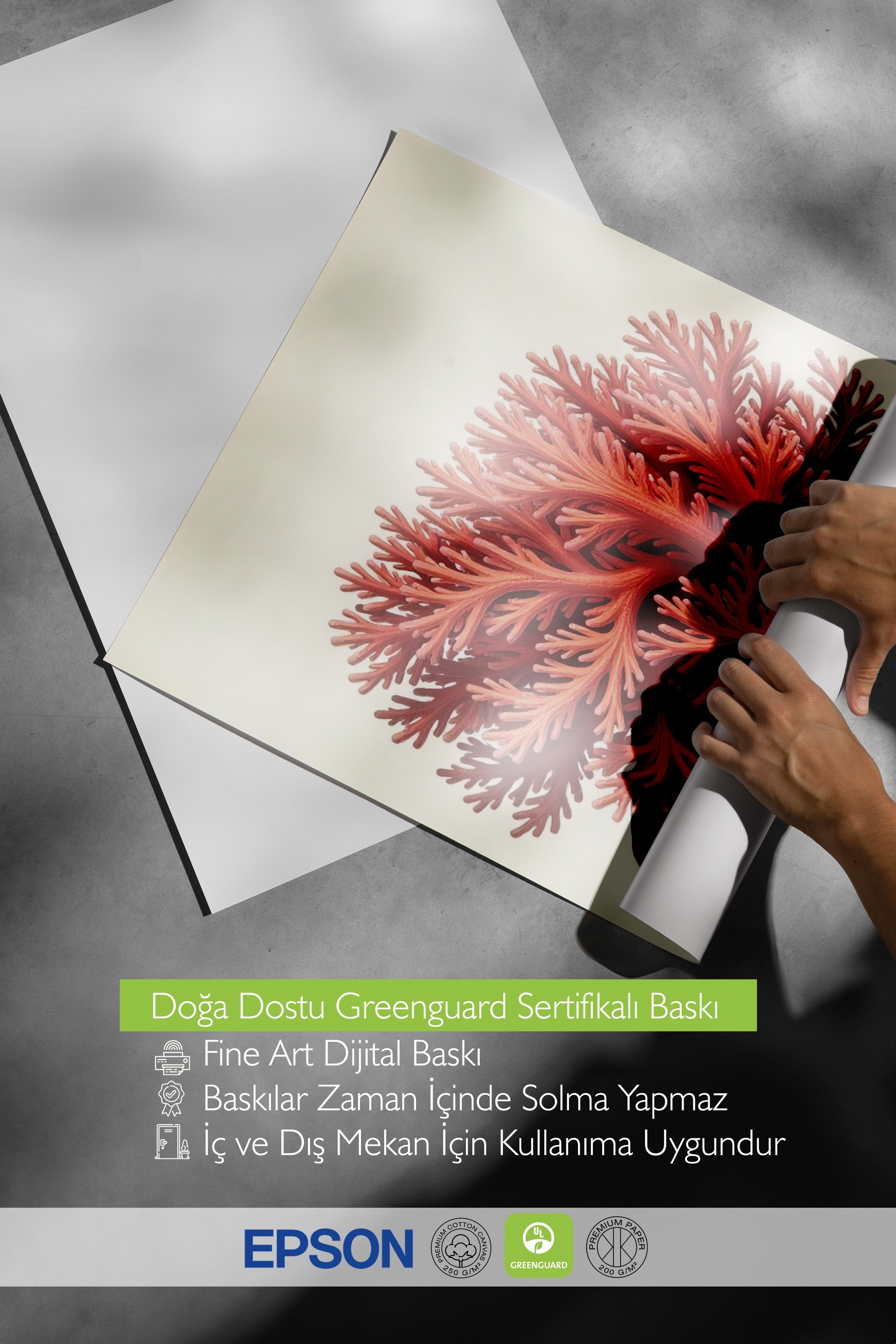 Beyaz Çerçeveli Poster, Deniz Yosunu, İllüstrasyon, Turuncu Renk Poster, 2025 Yaz Seçkisi, NO:109599