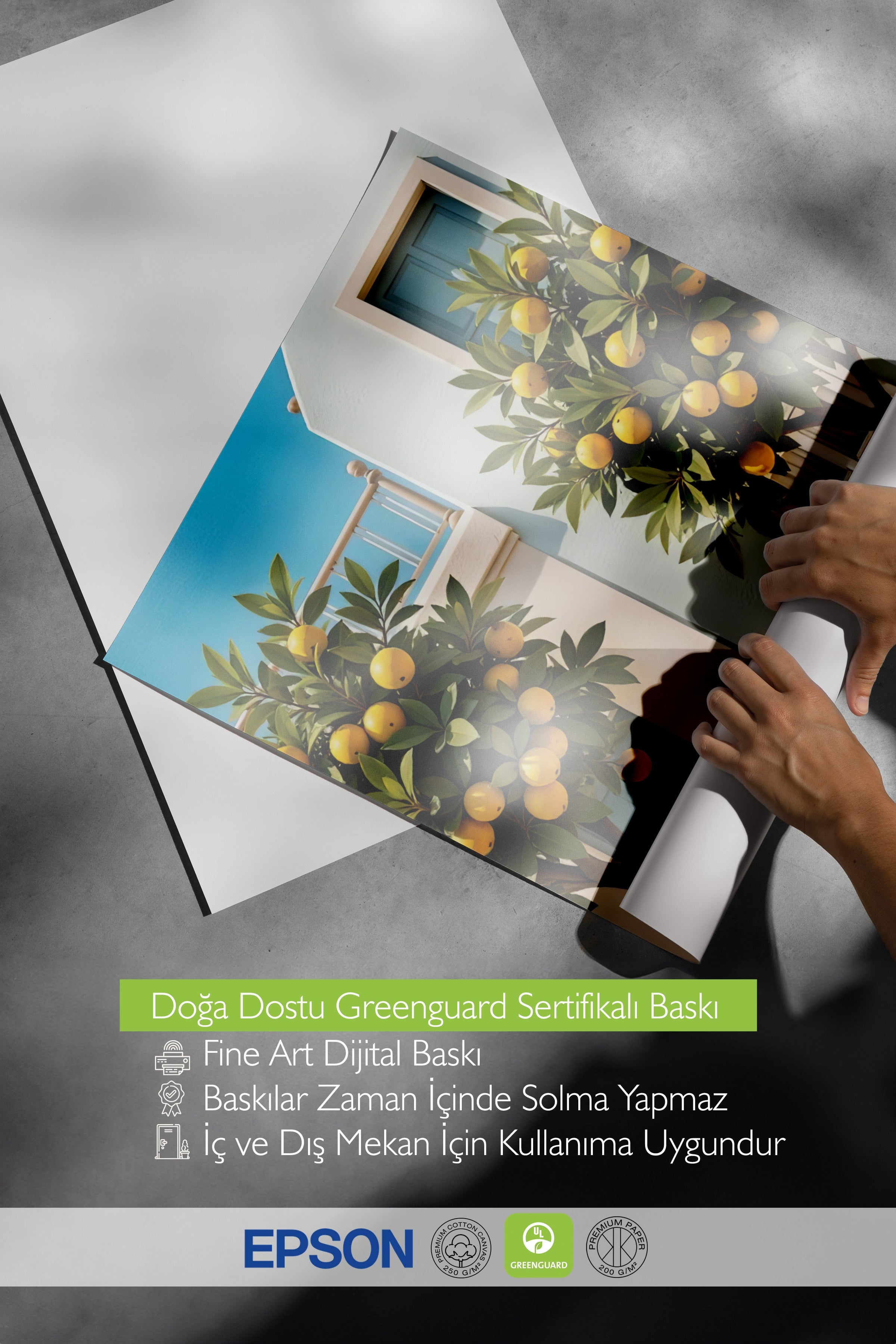 Beyaz Çerçeveli Poster, Limon Ağaçları, Fotoğraf, Sarı Renk Poster, 2025 Yaz Seçkisi, NO:109653