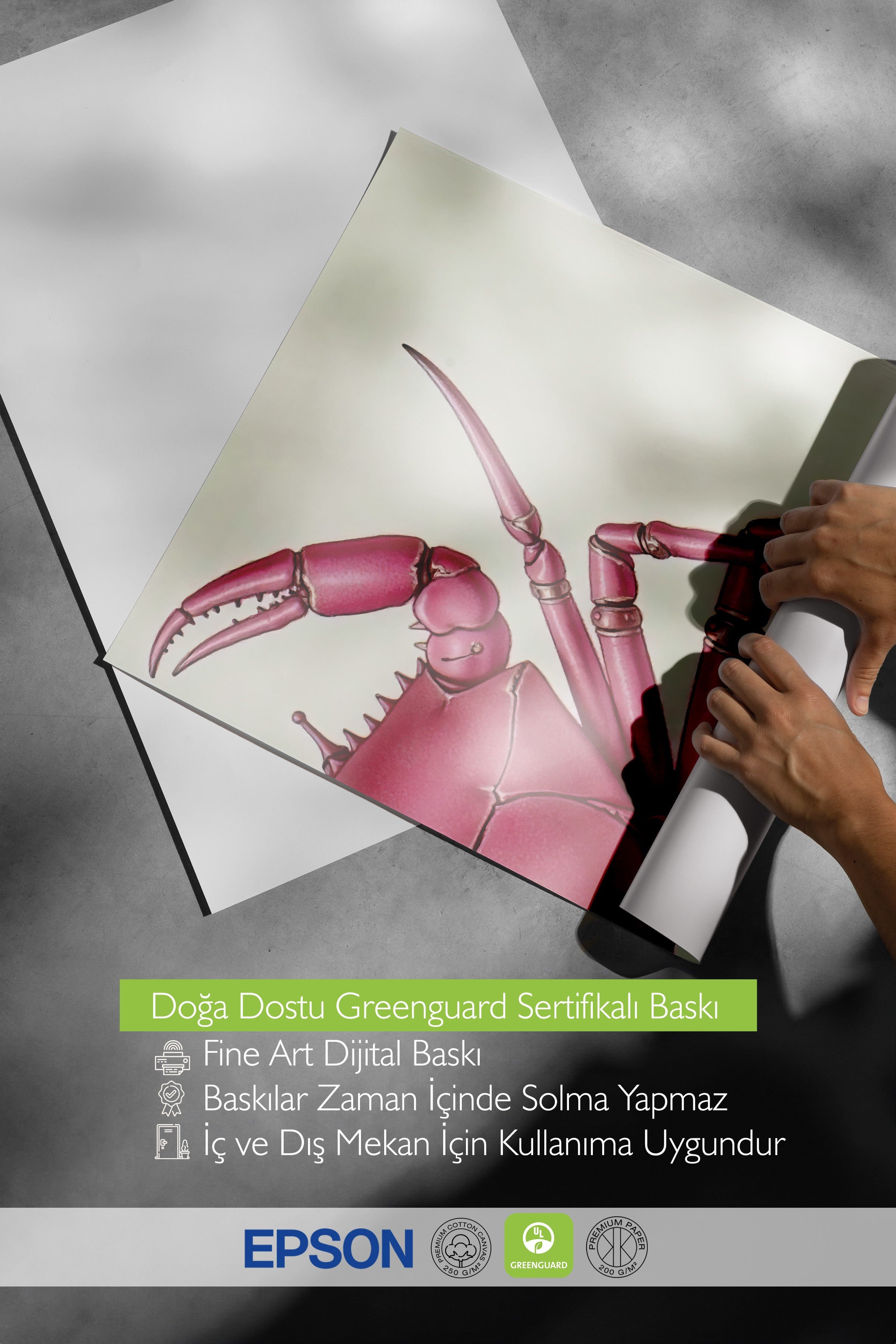 Beyaz Çerçeveli Poster, Pembe Yengeç, İllüstrasyon, Pembe Renk Poster, 2025 Yaz Seçkisi, NO:109598
