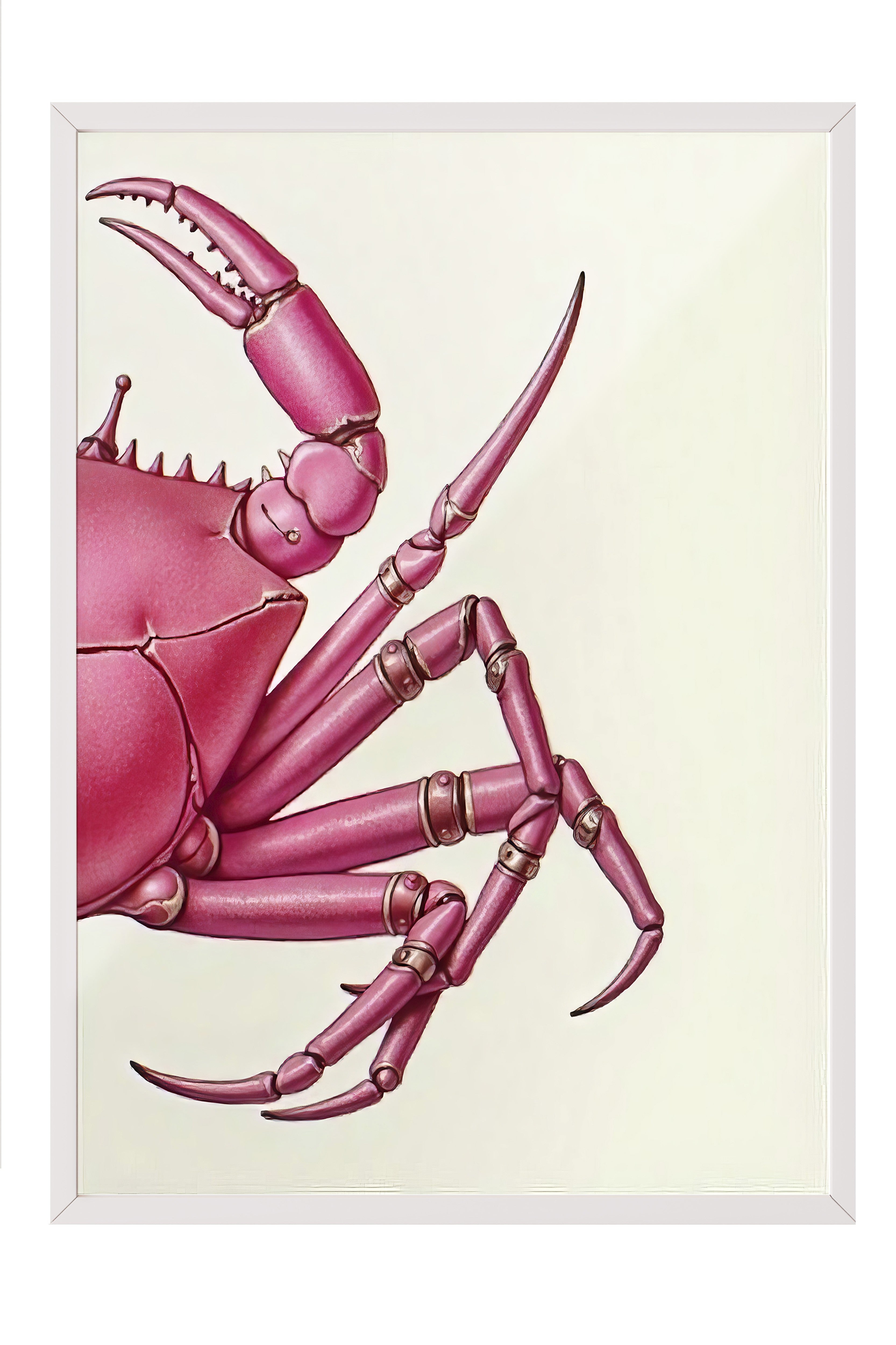 Beyaz Çerçeveli Poster, Pembe Yengeç, İllüstrasyon, Pembe Renk Poster, 2025 Yaz Seçkisi, NO:109598