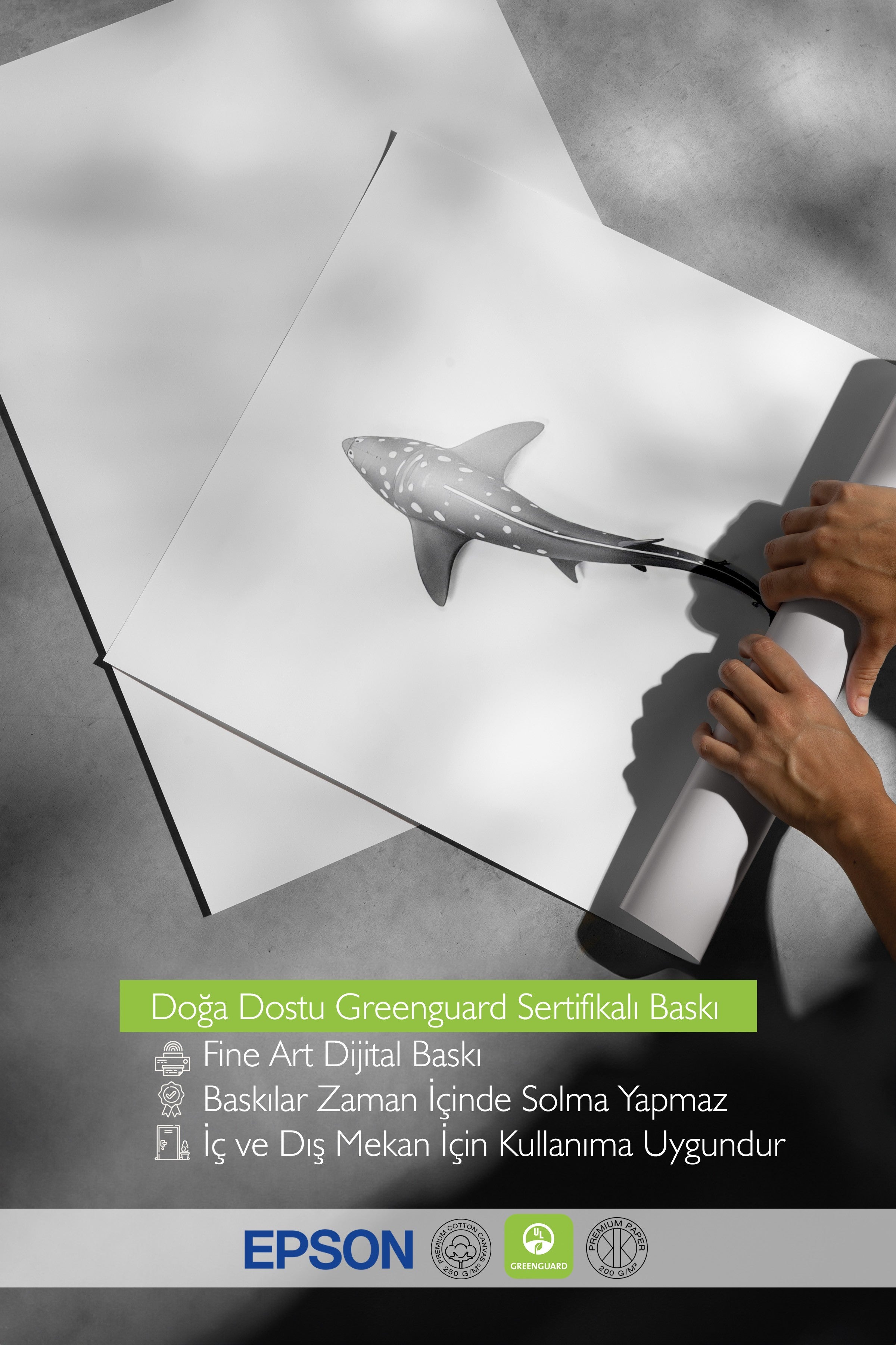 Beyaz Çerçeveli Poster, Uzun Balina, İllüstrasyon, Gri Renk Poster, 2025 Yaz Seçkisi, NO:109610