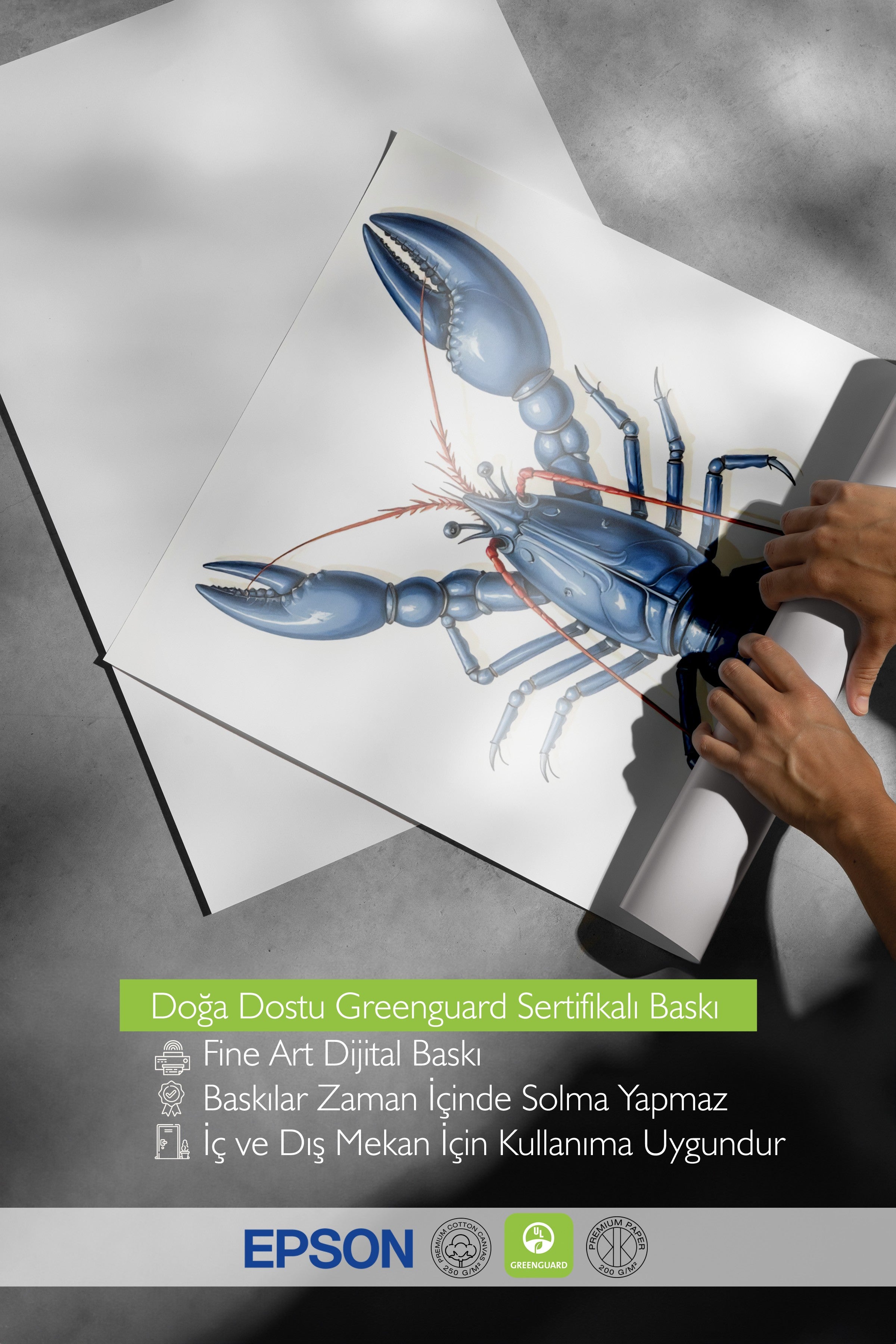 Beyaz Çerçeveli Poster, Yengeç, İllüstrasyon, Mavi Renk Poster, 2025 Yaz Seçkisi, NO:109575