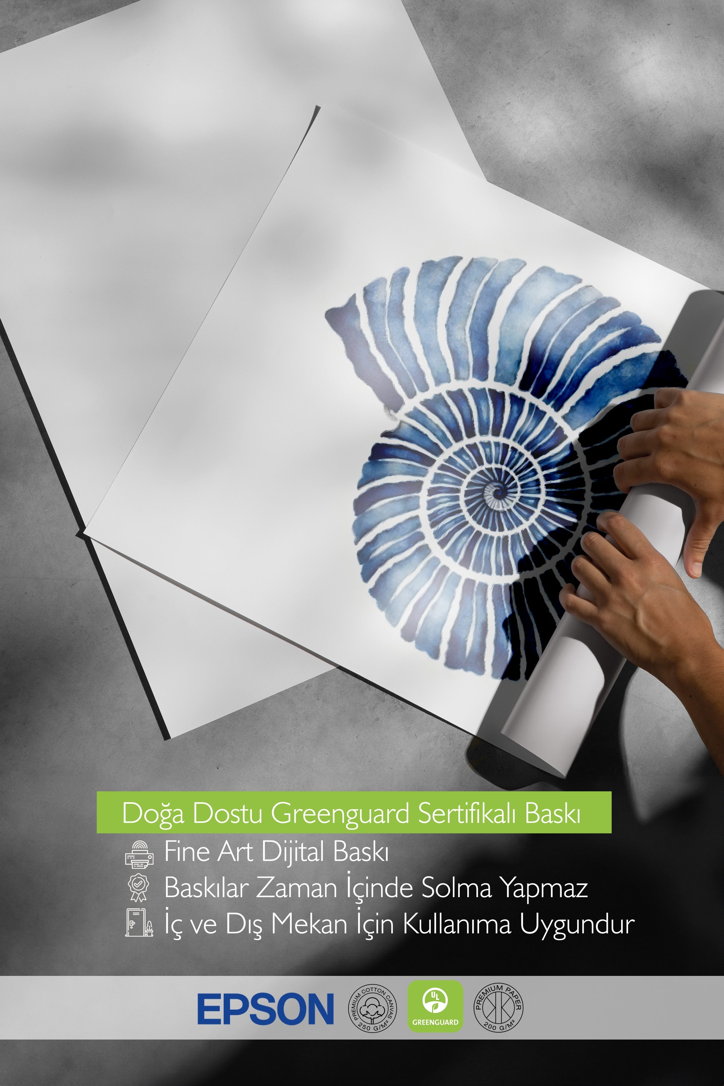 Beyaz Çerçeveli Tablo, Mavi Deniz Kabuğu, İllüstrasyon, Mavi Renk Poster, 2025 Yaz Seçkisi, NO:109728