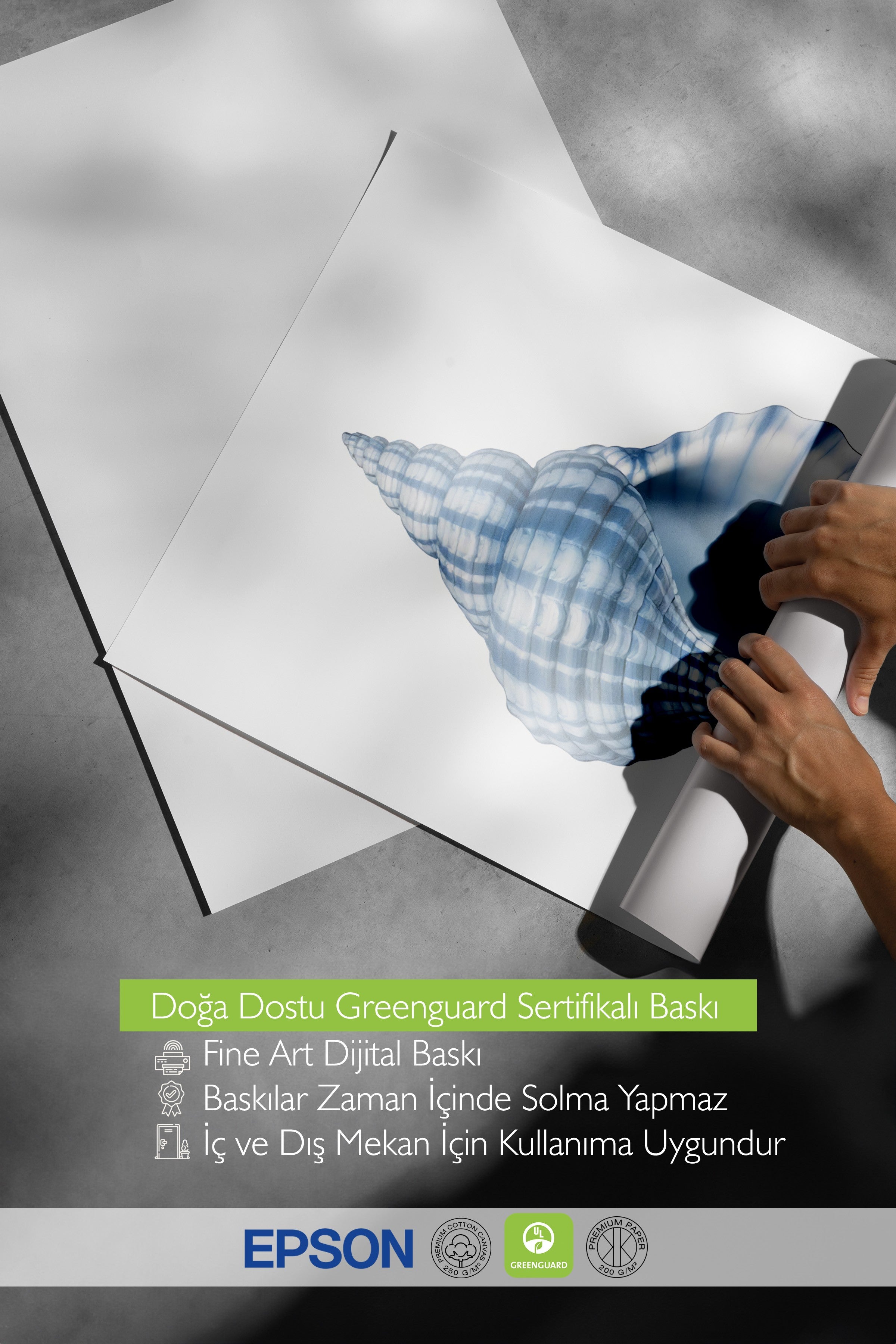 Beyaz Çerçeveli Tablo, Mavi Deniz Kabuğu, İllüstrasyon, Mavi Renk Poster, 2025 Yaz Seçkisi, NO:109741