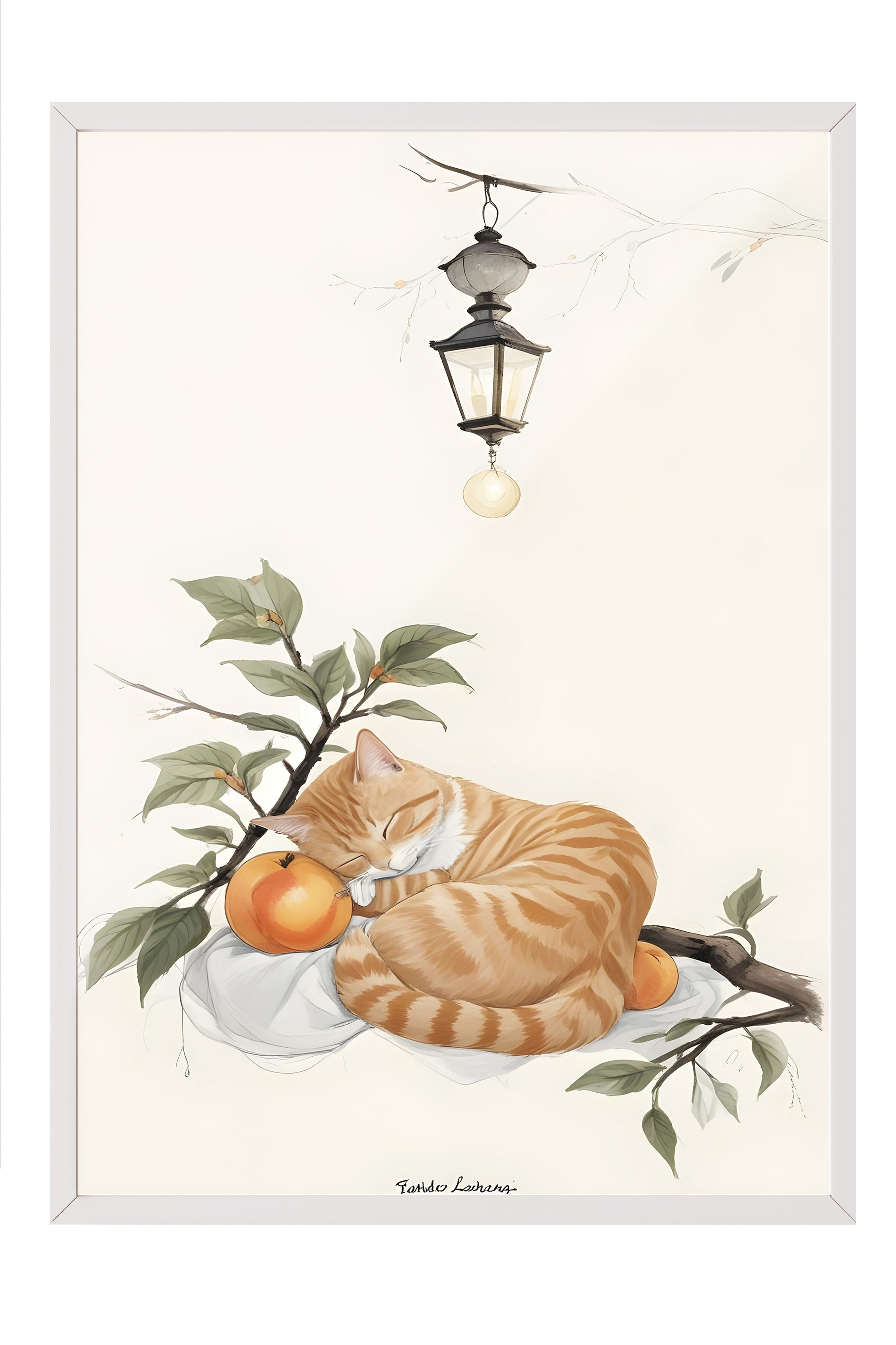 Beyaz Çerçeveli Tablo, Orange cat Sleeping With Orange, Comfort Serisi Mutfak Duvar Tablosu, NO:109166