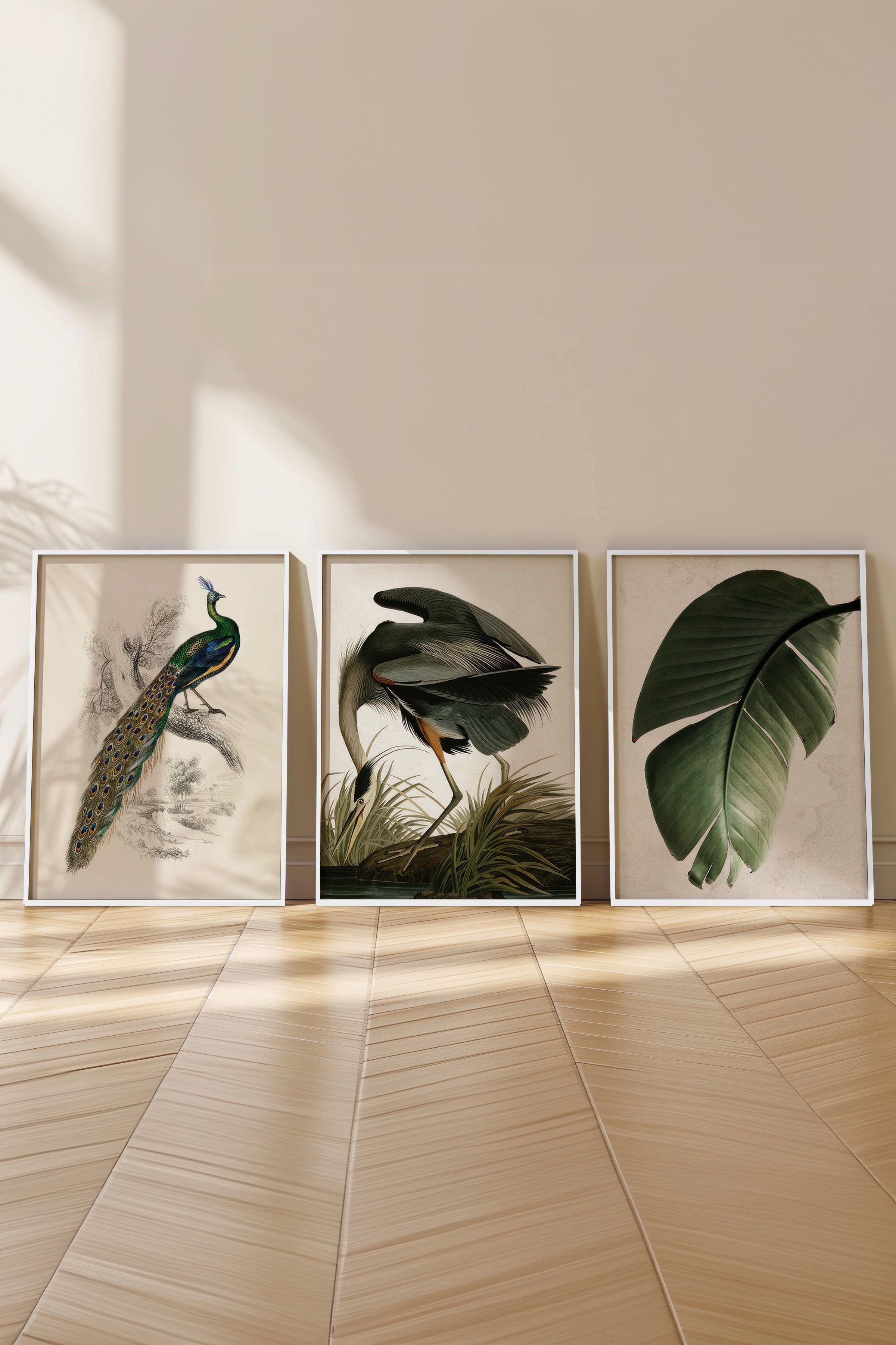 Beyaz Çerçeveli Tablo Seti, Yeşil Duvar Tablosu, 3 Adet Poster Seti, No:300757