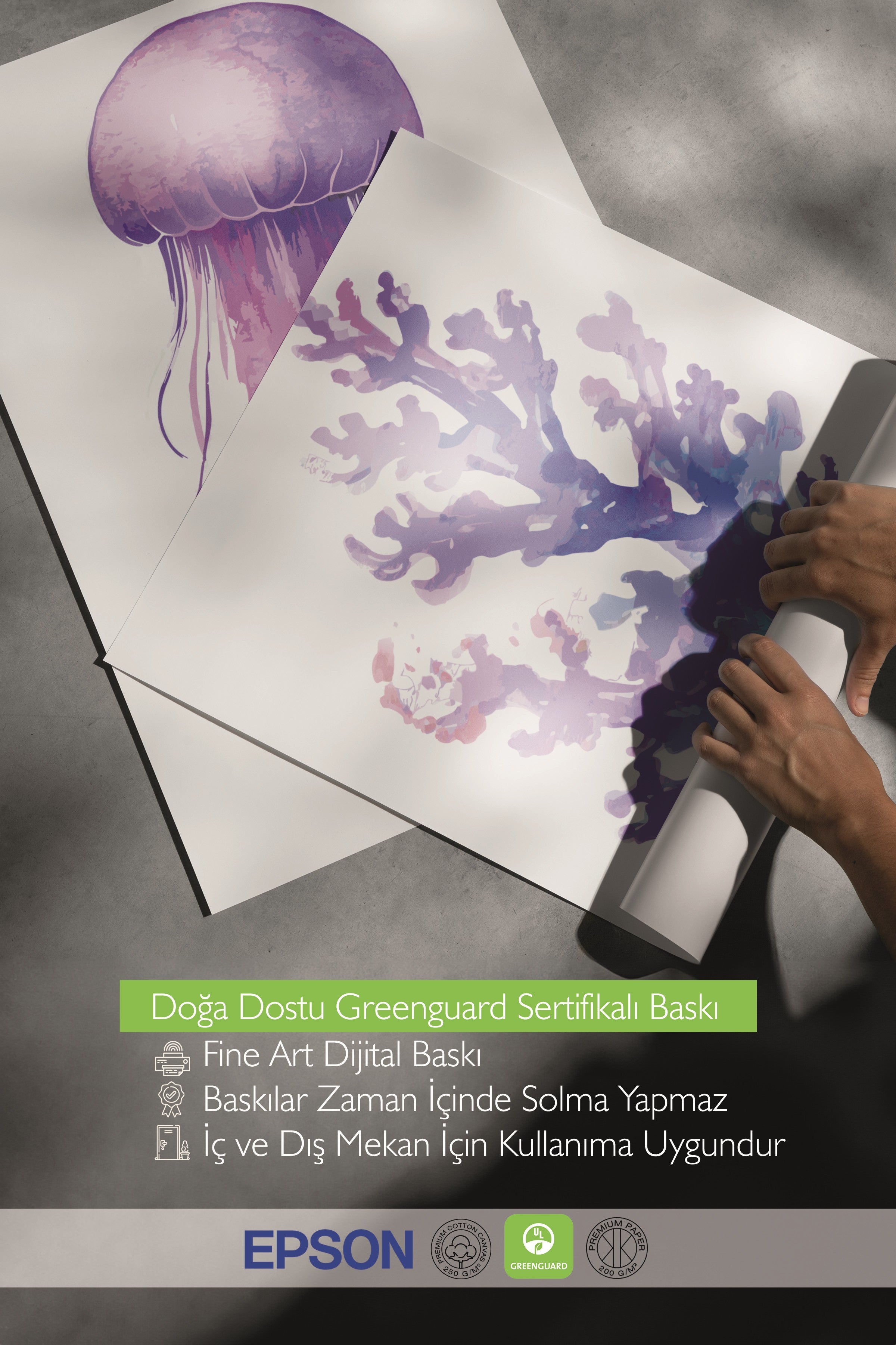 Beyaz Tablo Seti, 3 Adet Beyaz Çerçeveli Poster sea creatures Model No:300822, Mor Duvar Dekoru