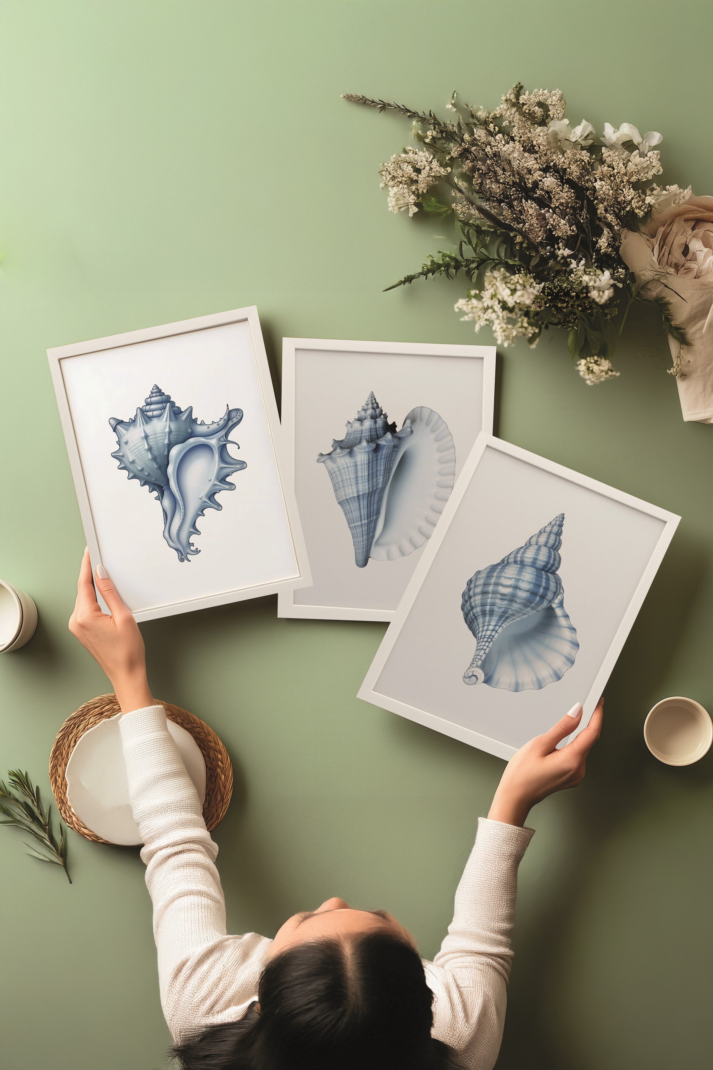 Beyaz Tablo Seti, 3 Adet Beyaz Çerçeveli Poster seashells Model No:300838, Mavi Duvar Dekoru