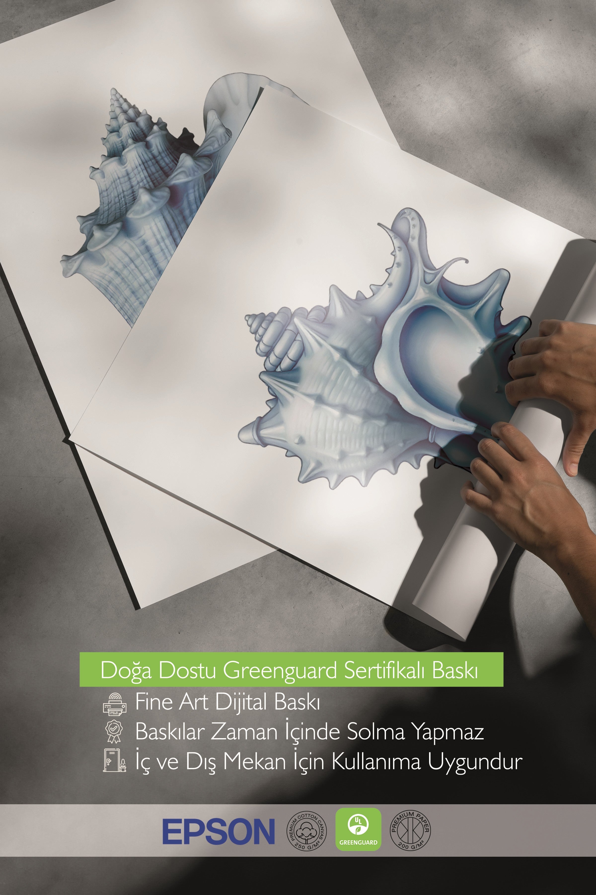 Beyaz Tablo Seti, 3 Adet Beyaz Çerçeveli Poster seashells Model No:300838, Mavi Duvar Dekoru