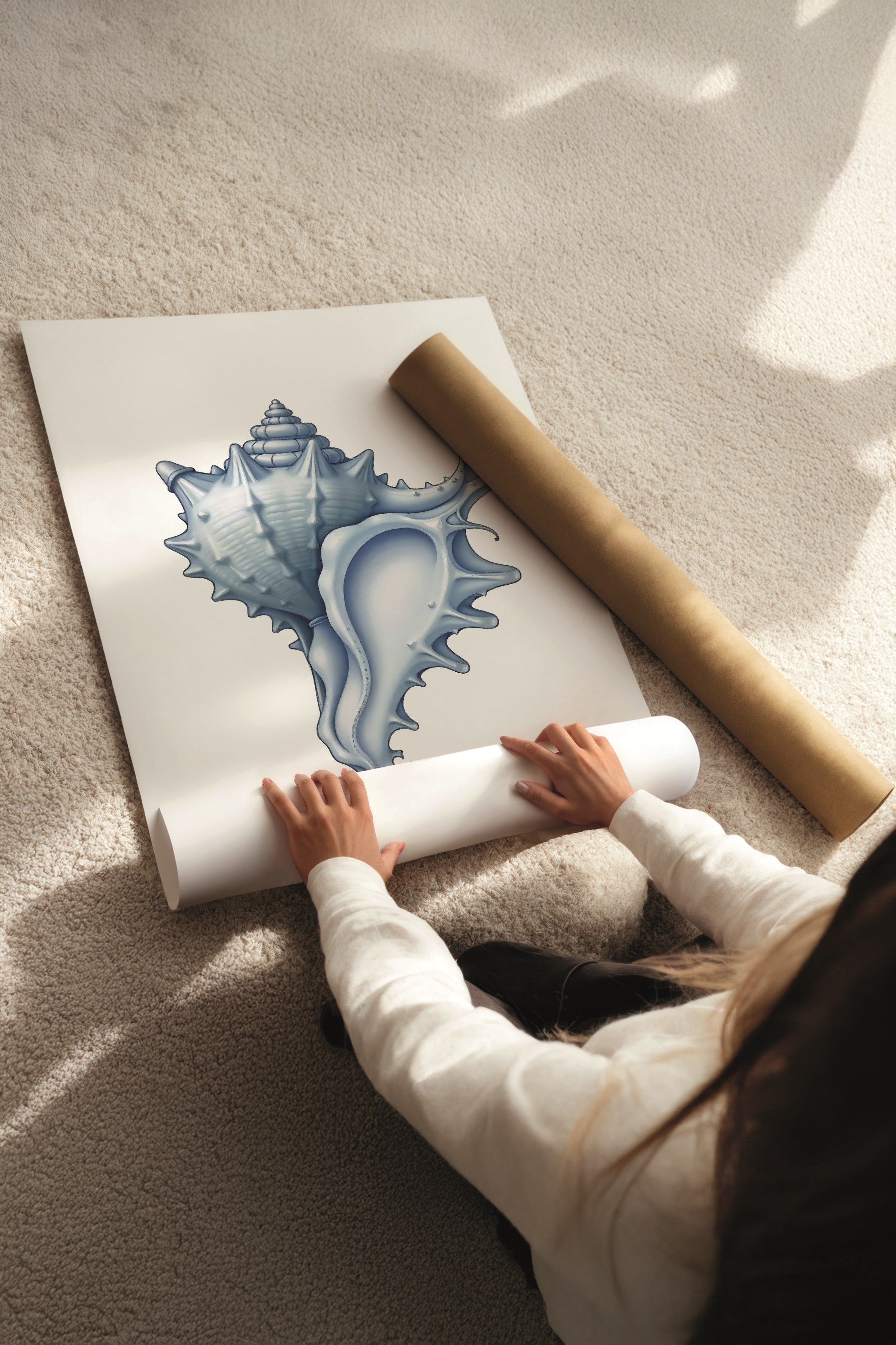 Beyaz Tablo Seti, 3 Adet Beyaz Çerçeveli Poster seashells Model No:300838, Mavi Duvar Dekoru
