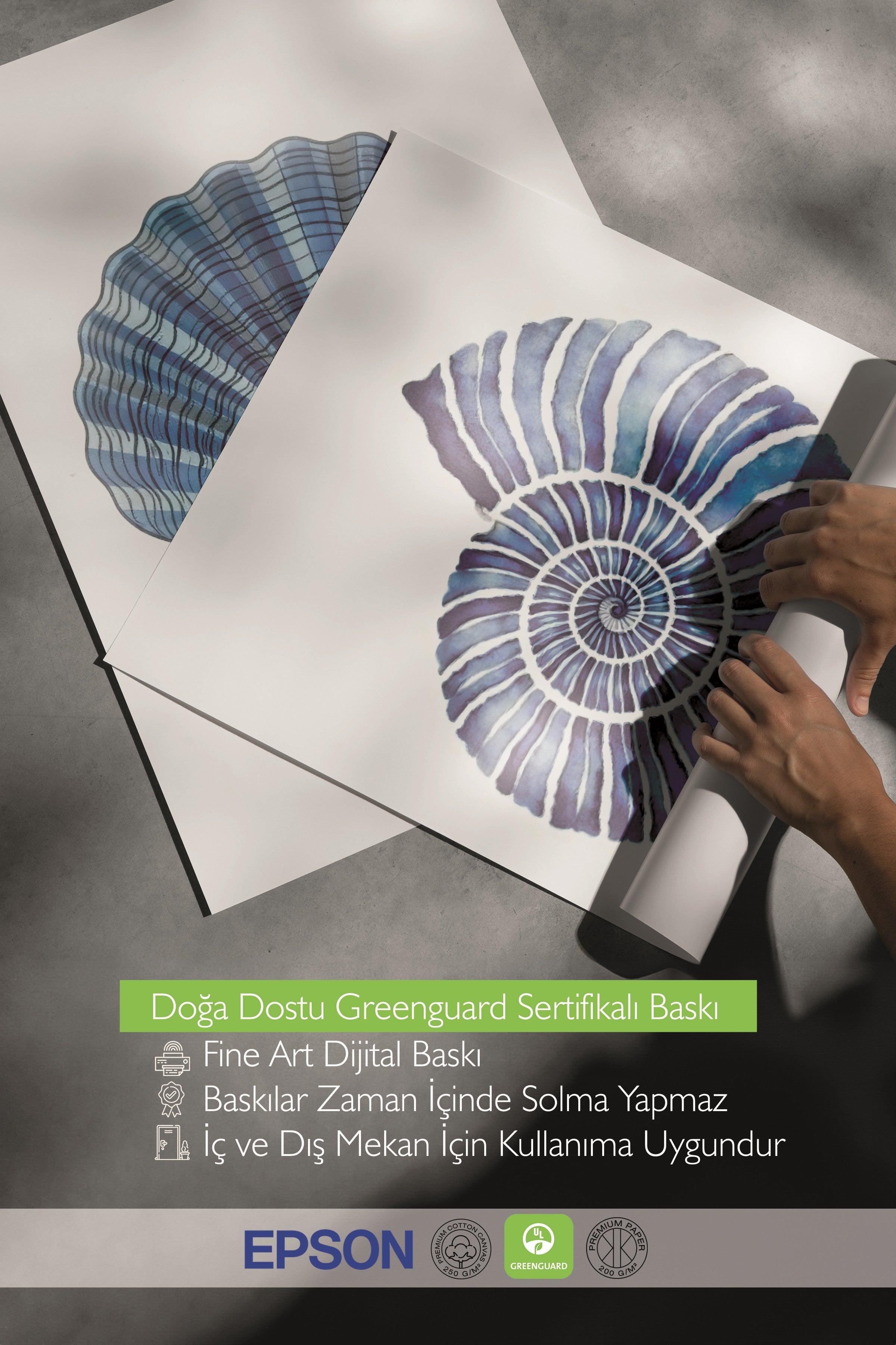 Beyaz Tablo Seti, 3 Adet Beyaz Çerçeveli Poster Seashells Model No:300890, Mavi Duvar Dekoru