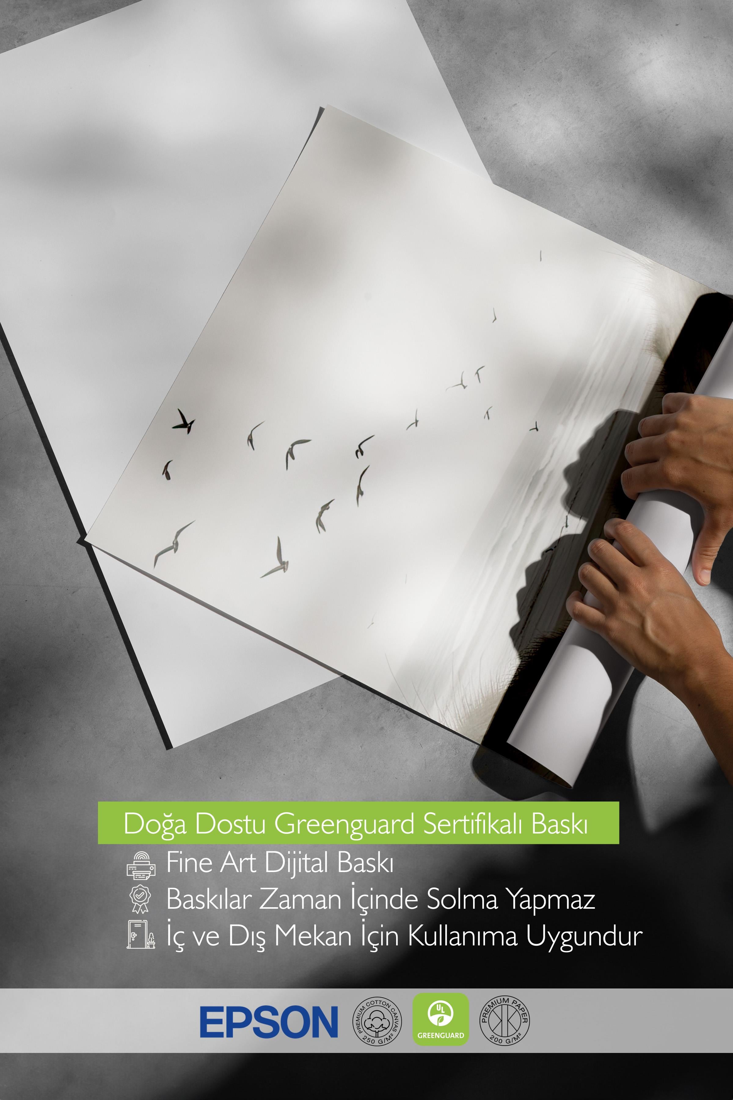 Birds by the Beach Poster, Çerçevesiz Duvar Posteri, Dikey Duvar Tablosu Comfort Serisi NO:108313
