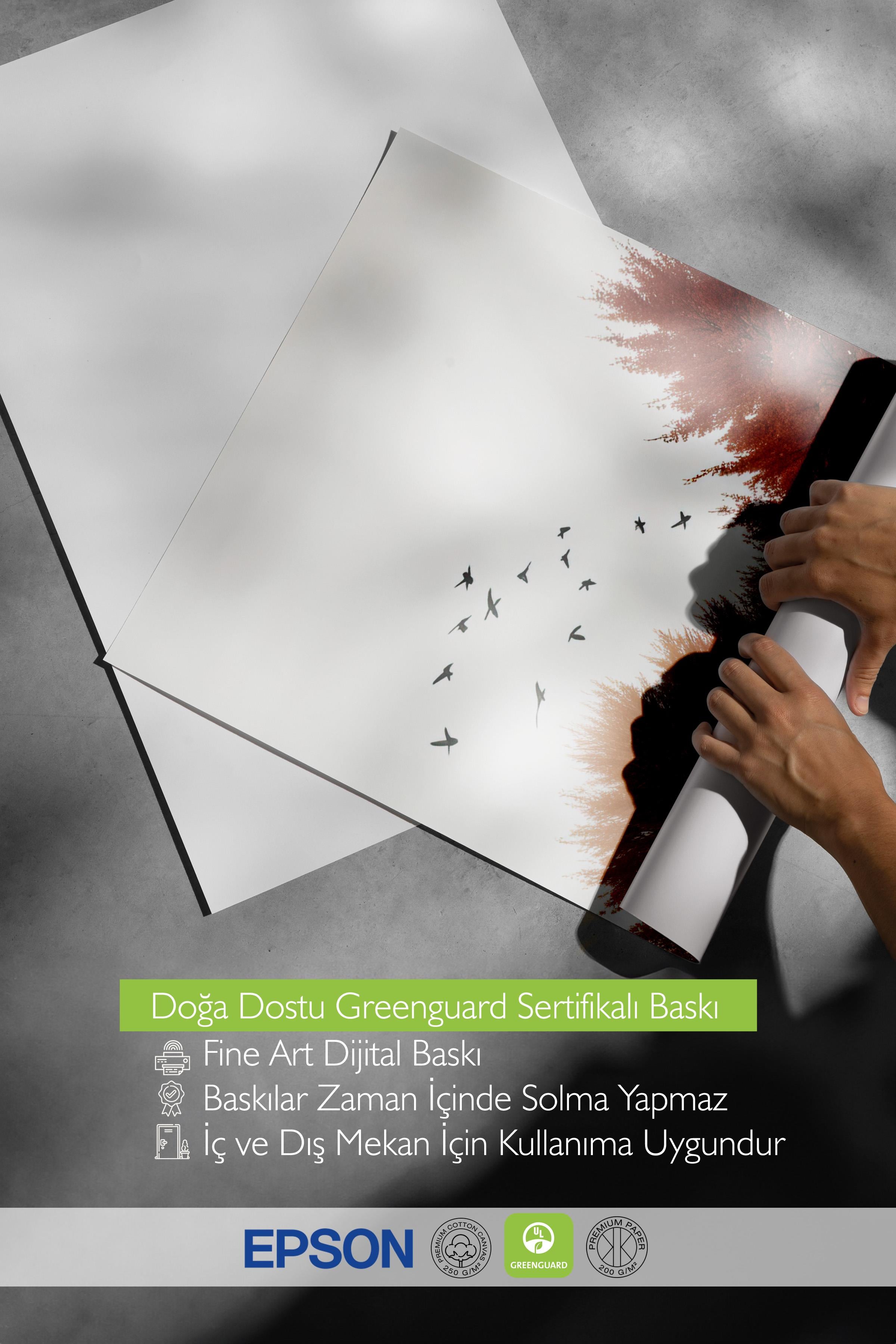 Birds over the Forest Poster, Dikey Duvar Tablosu Comfort Serisi NO:108317