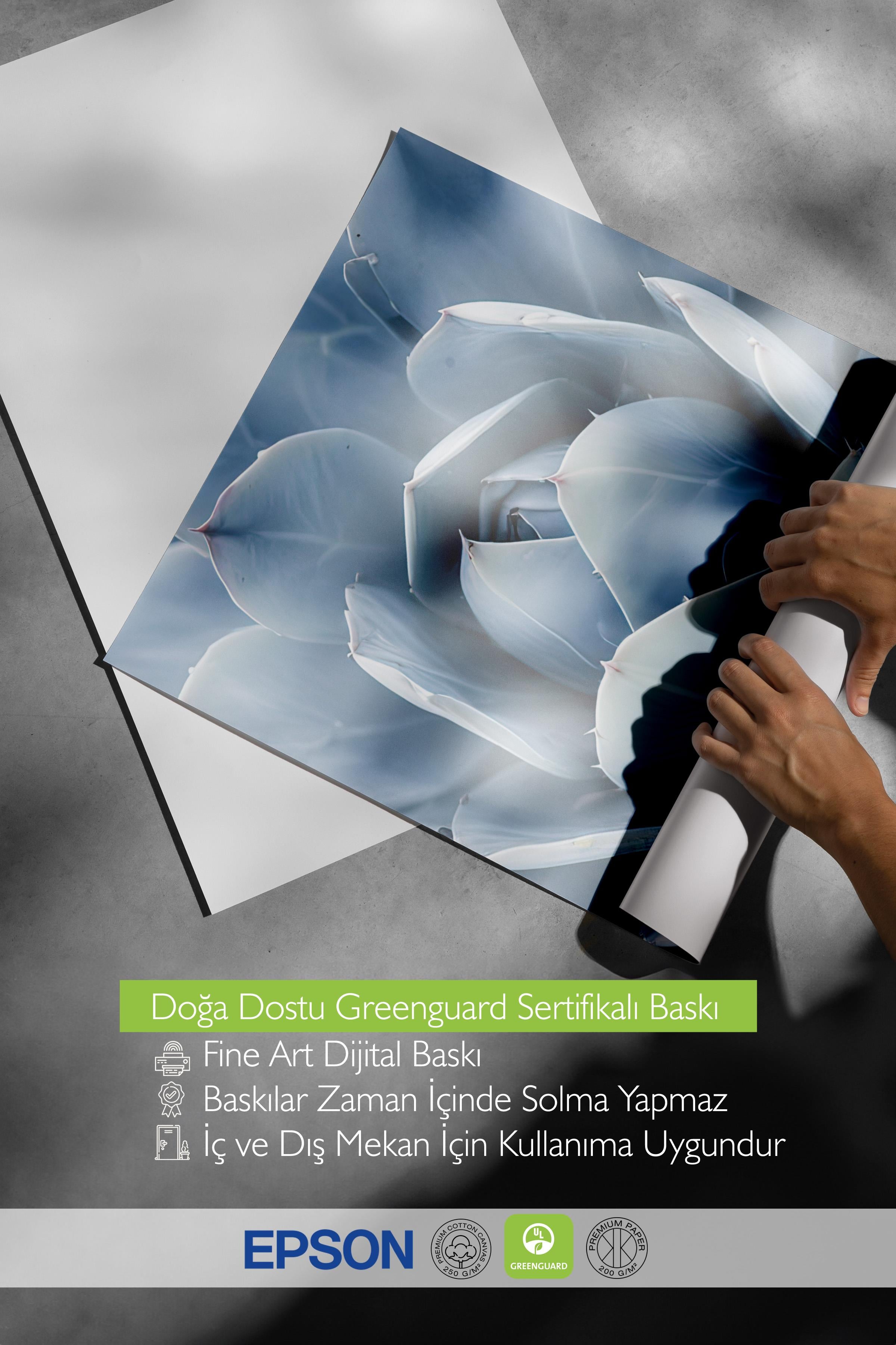 Blue Cactus Poster, Çerçevesiz Duvar Posteri, Dikey Duvar Tablosu Comfort Serisi NO:108376