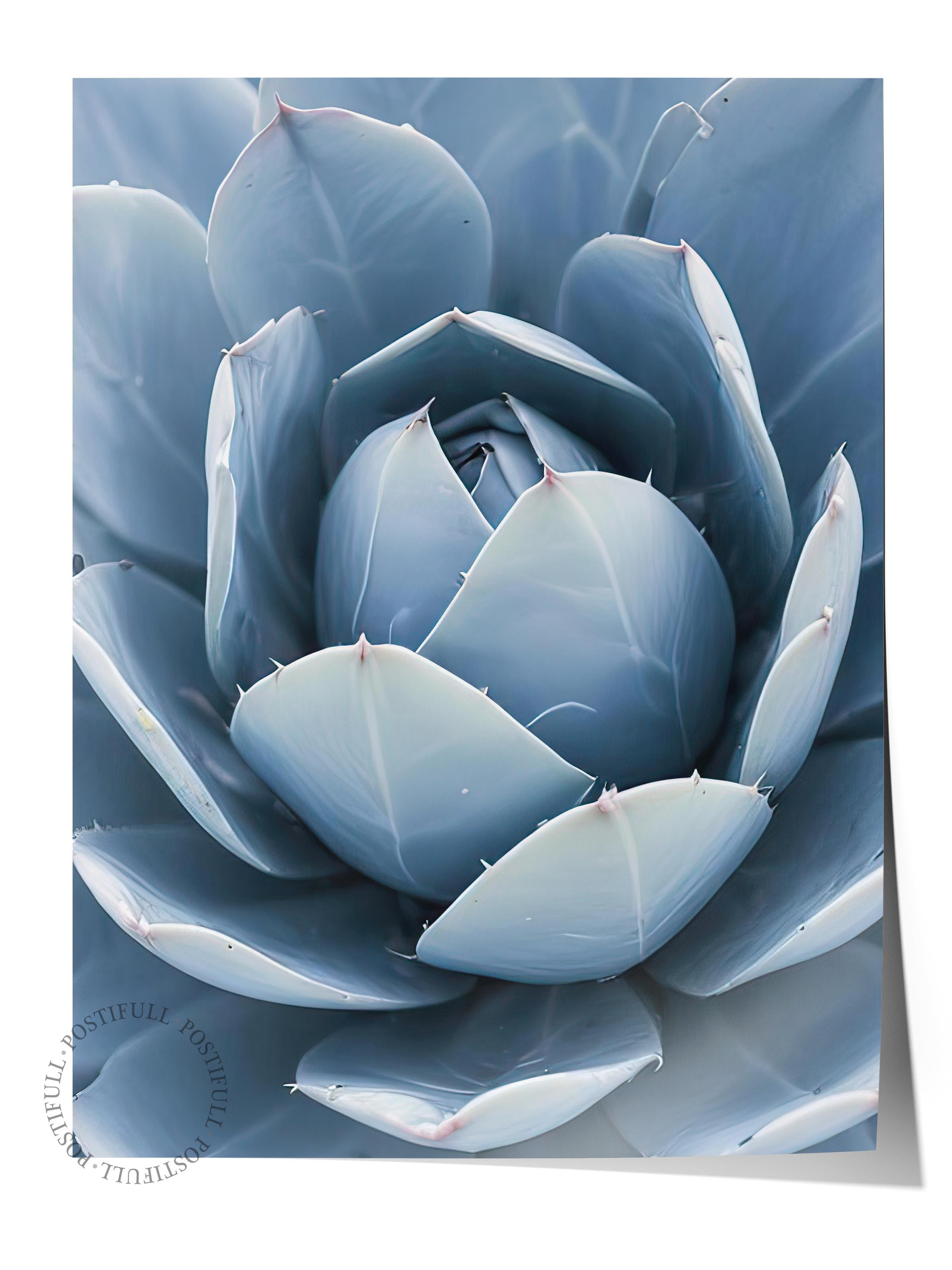 Blue Cactus Poster, Çerçevesiz Duvar Posteri, Dikey Duvar Tablosu Comfort Serisi NO:108376