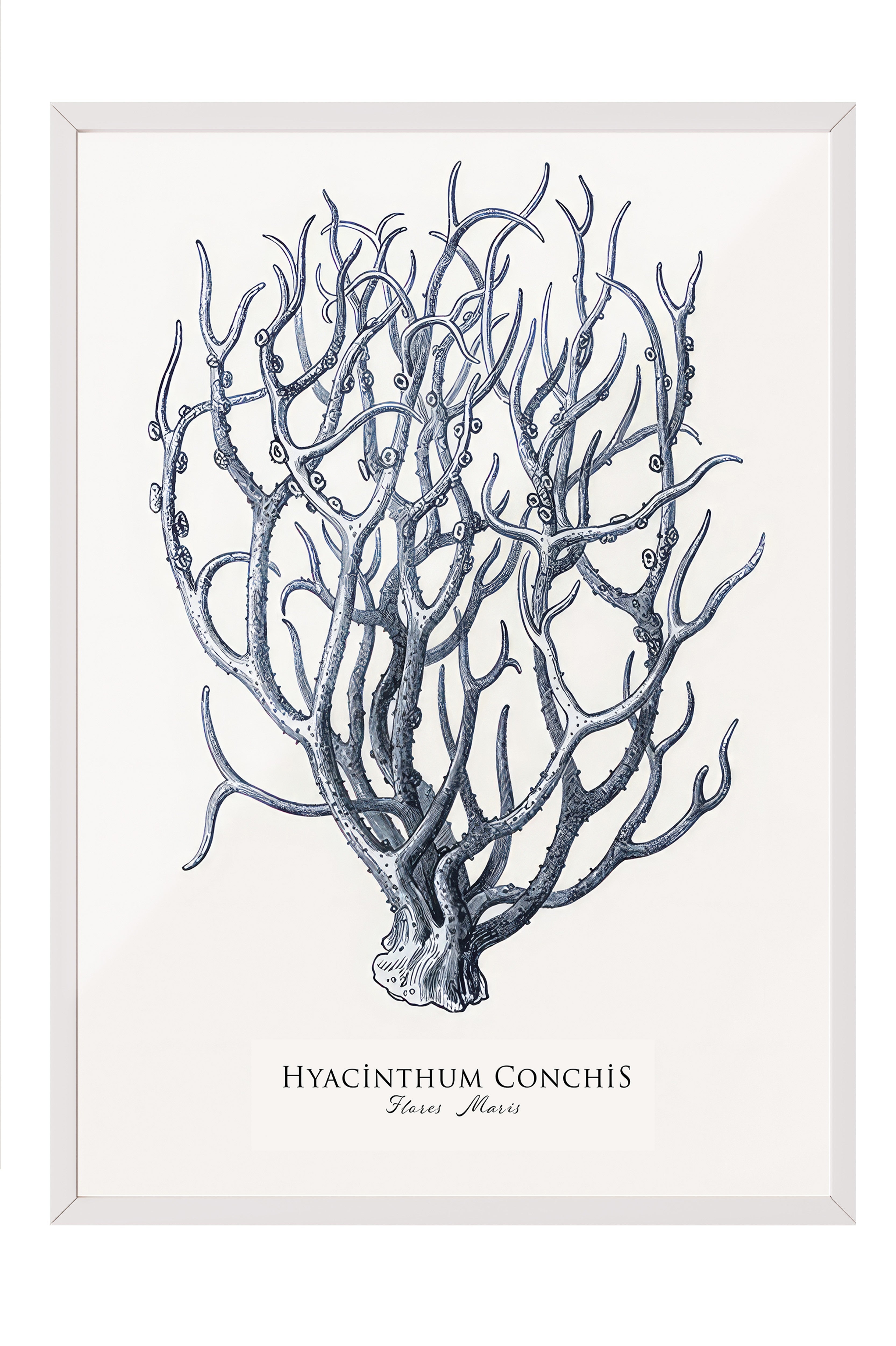 Blue Coral Çerçeveli Tablo, Beyaz Çerçeve ve Poster, Dikey Duvar Tablosu Comfort Serisi NO:108438