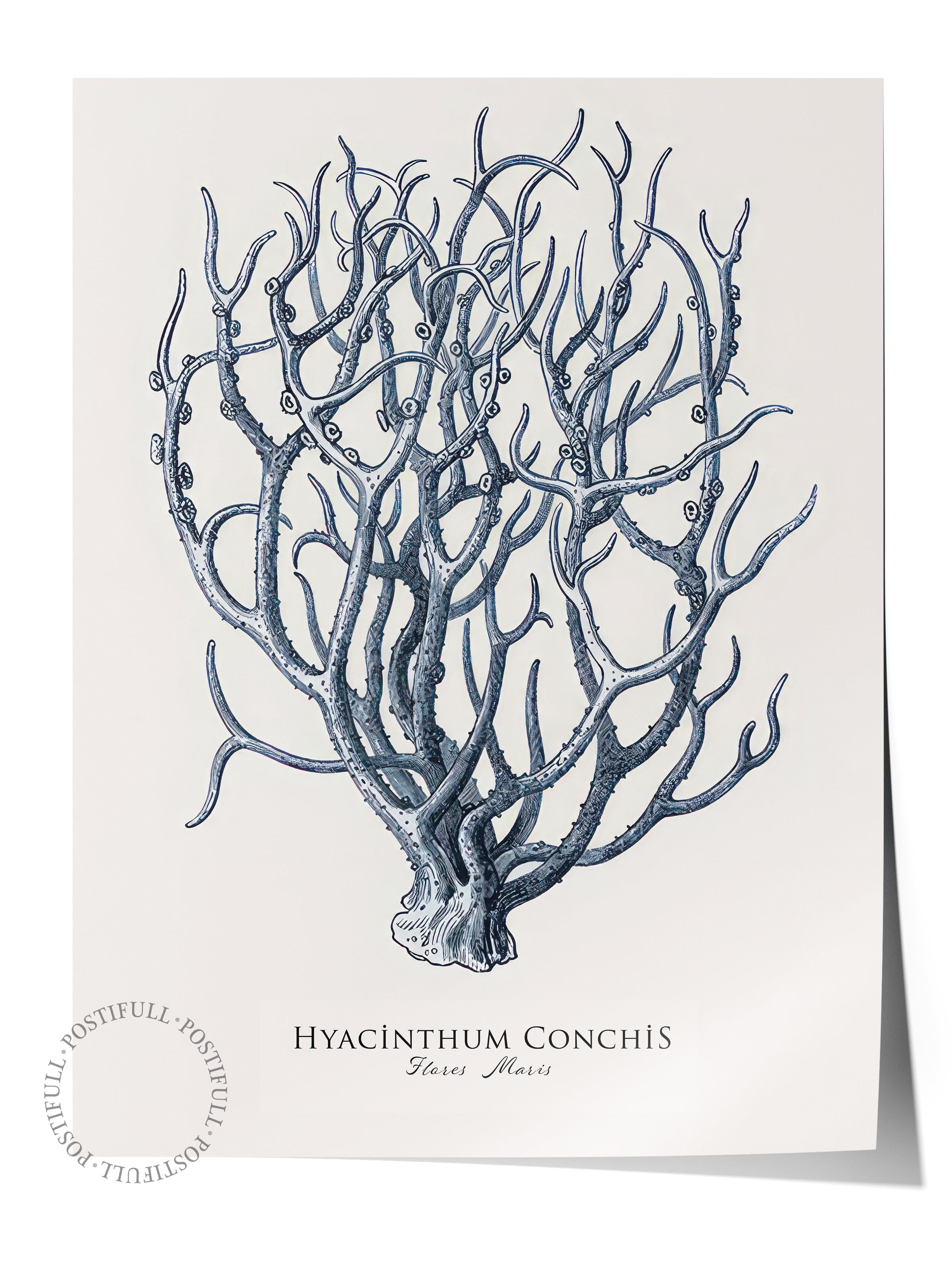 Blue Coral Poster, Çerçevesiz Duvar Posteri, Dikey Duvar Tablosu Comfort Serisi NO:108438