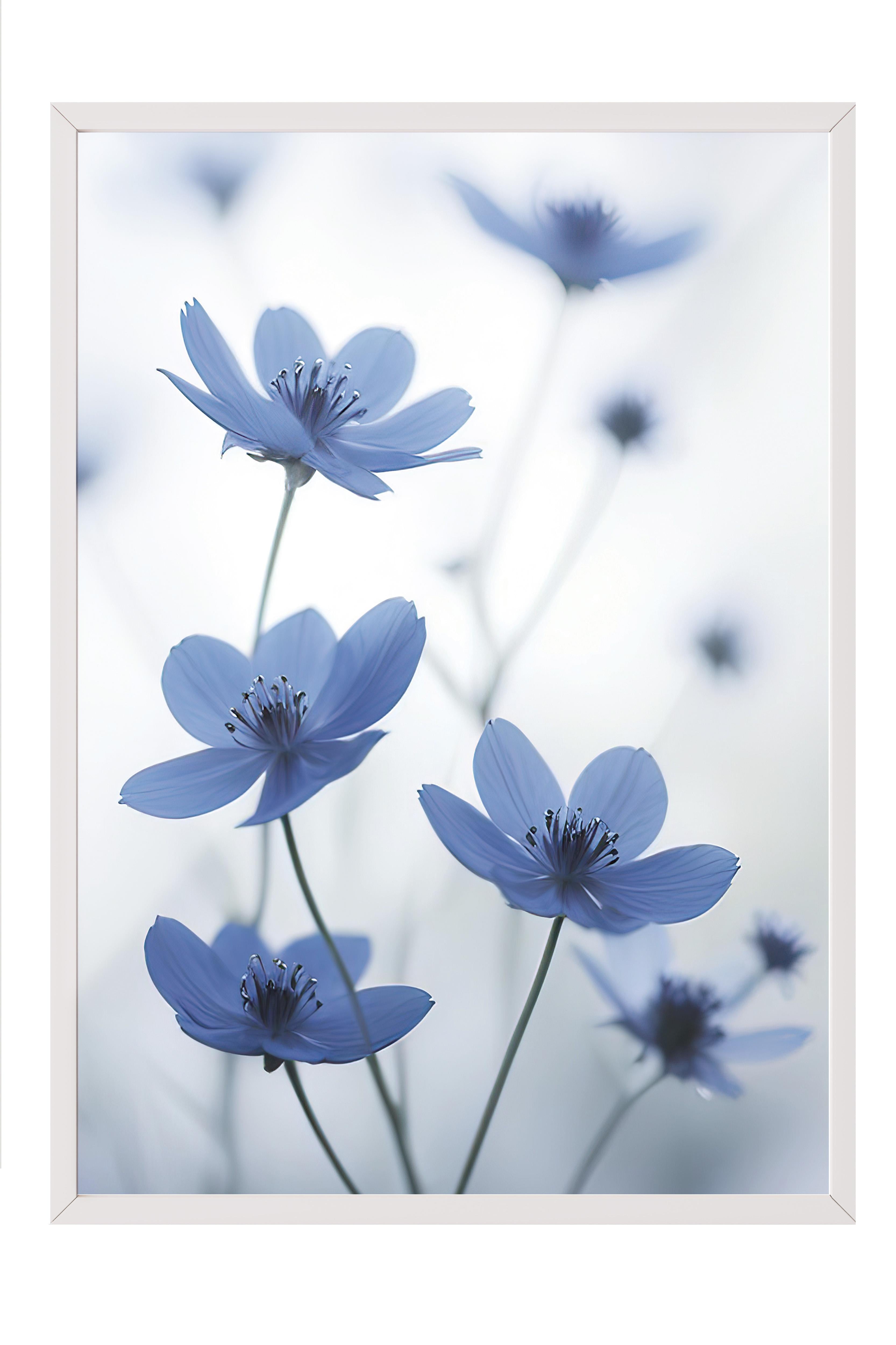 Blue Cosmos Flower Çerçeveli Tablo, Beyaz Çerçeve ve Poster, Duvar Tablosu Comfort Serisi NO:108373