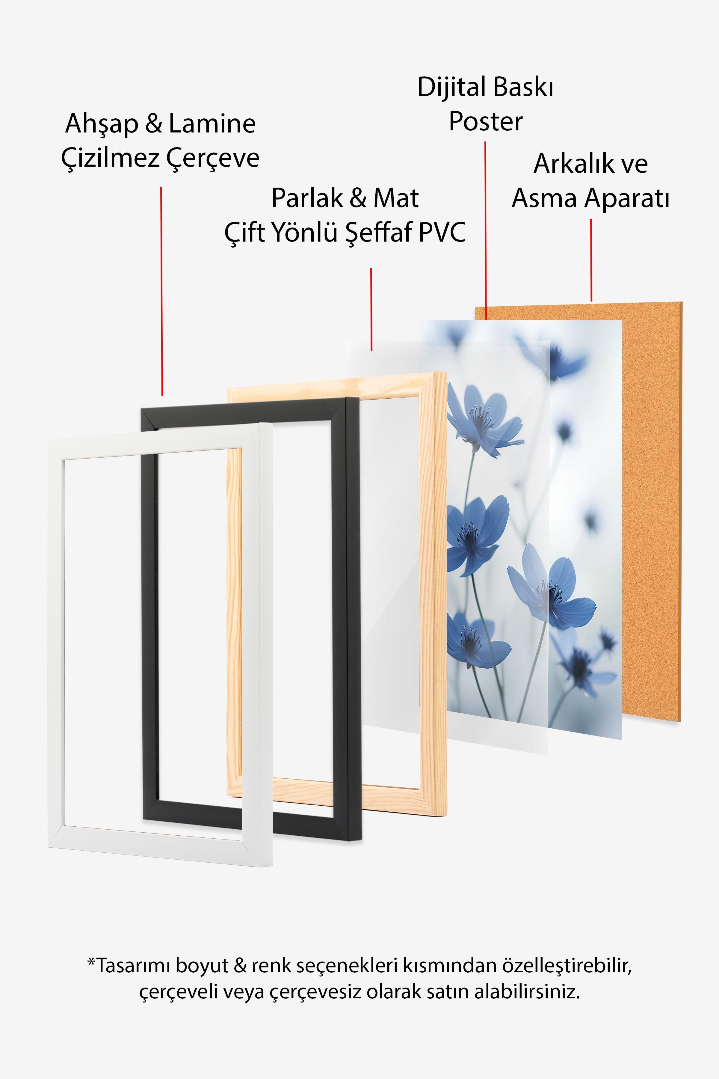 Blue Cosmos Flower Çerçeveli Tablo, Siyah Çerçeve ve Poster, Duvar Tablosu Comfort Serisi NO:108373