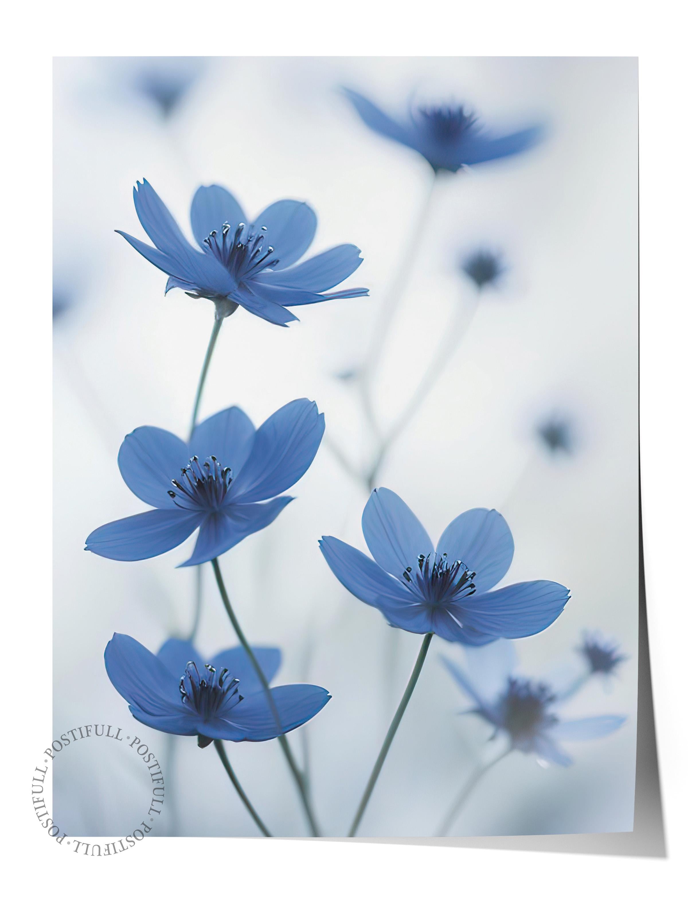 Blue Cosmos Flower Poster, Çerçevesiz Duvar Posteri, Dikey Duvar Tablosu Comfort Serisi NO:108373