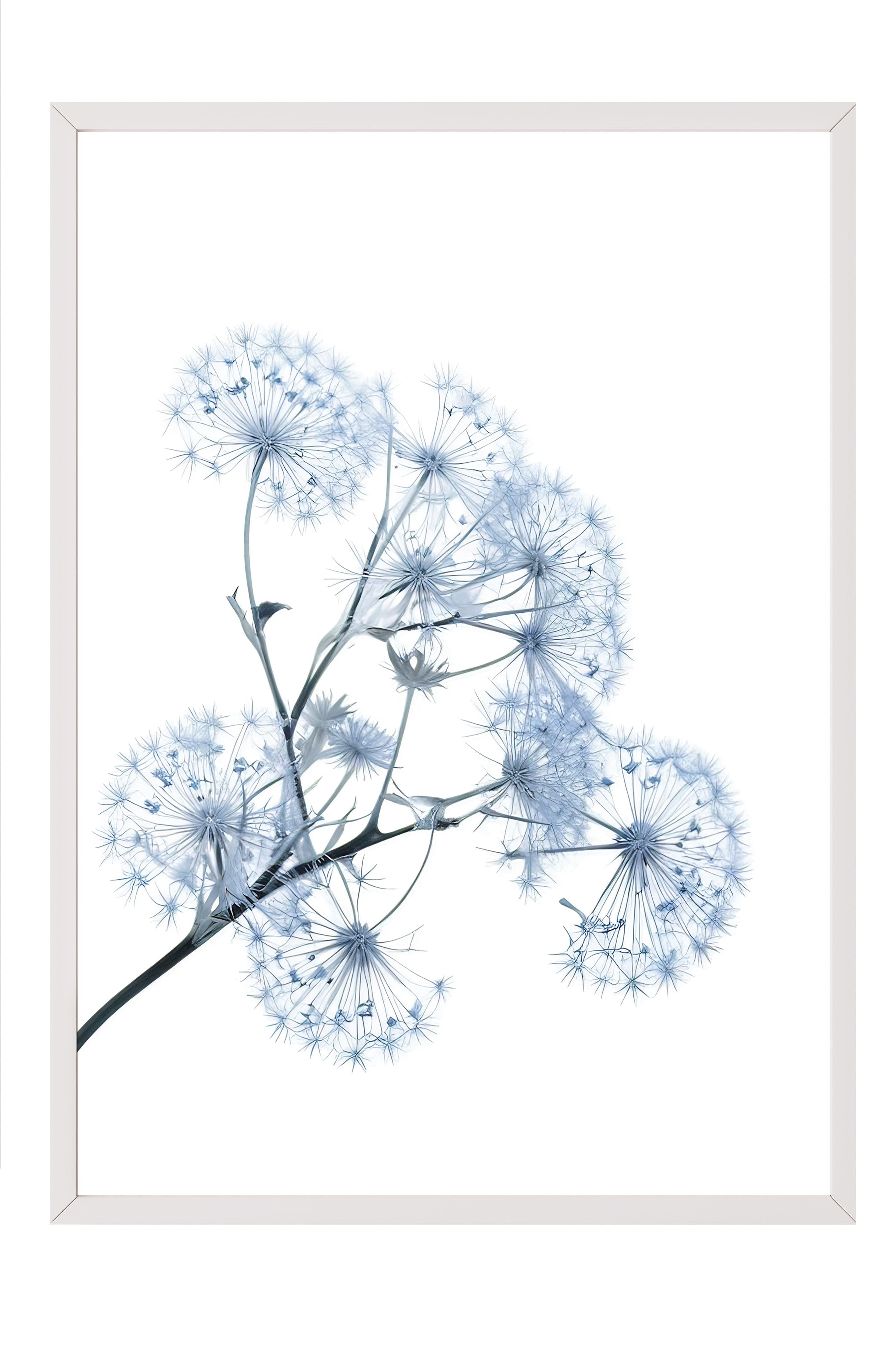 Blue Dandelion Çerçeveli Tablo, Beyaz Çerçeve ve Poster, Duvar Tablosu Comfort Serisi NO:108374