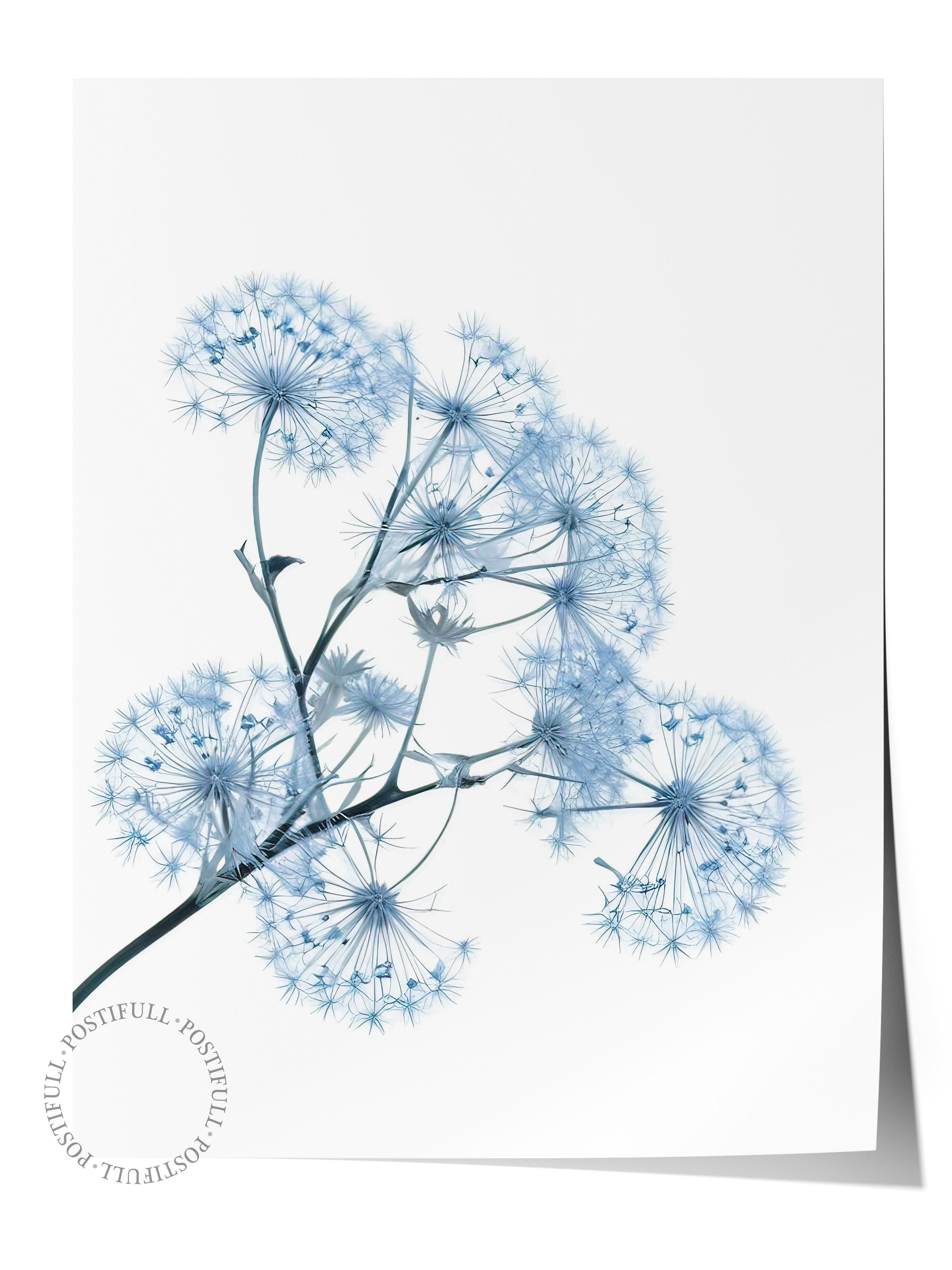 Blue Dandelion Poster, Çerçevesiz Duvar Posteri, Dikey Duvar Tablosu Comfort Serisi NO:108374