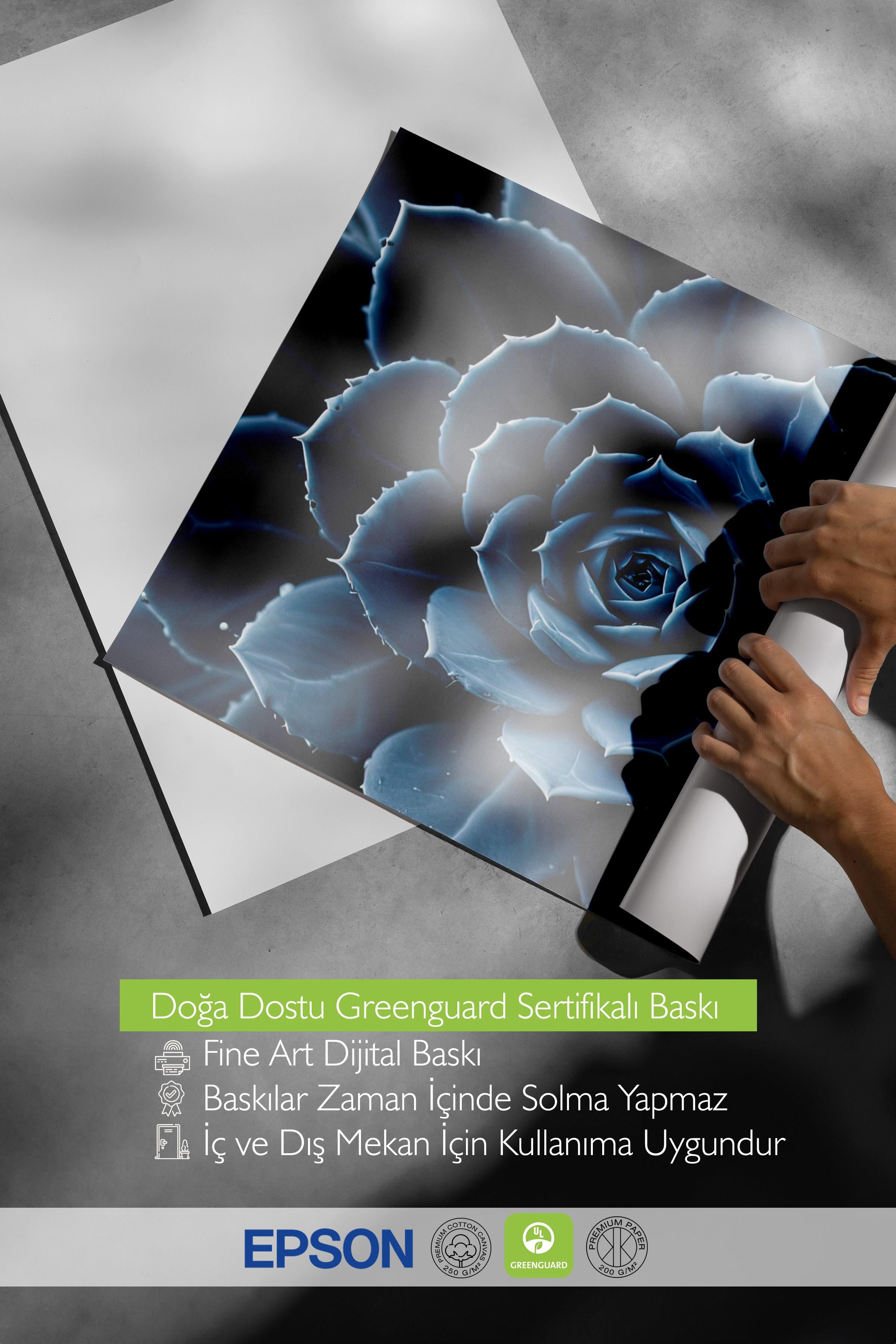 Blue flower cactus Poster, Çerçevesiz Duvar Posteri, Dikey Duvar Tablosu Comfort Serisi NO:108372