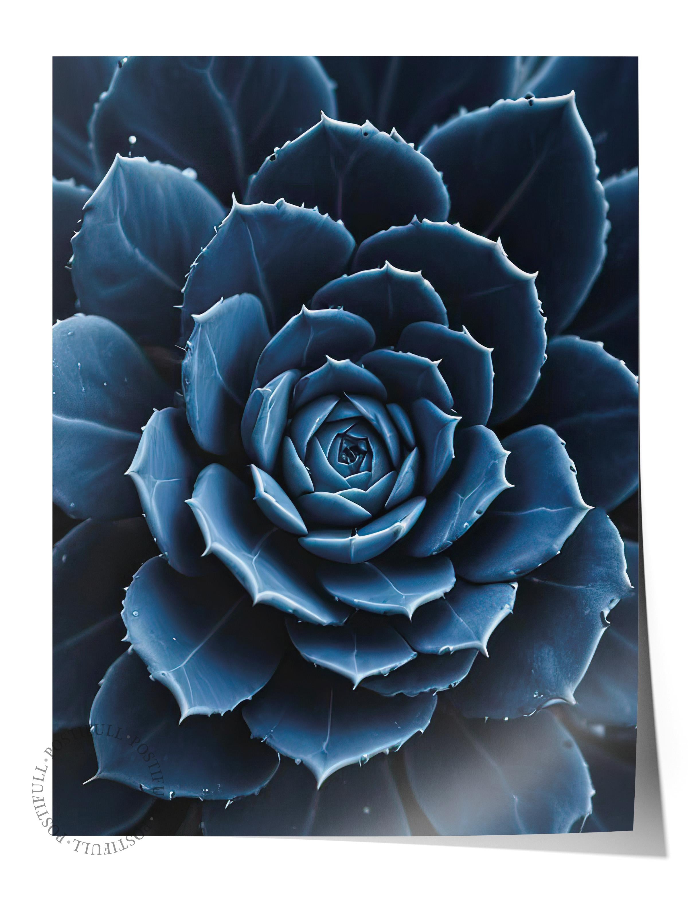Blue flower cactus Poster, Çerçevesiz Duvar Posteri, Dikey Duvar Tablosu Comfort Serisi NO:108372