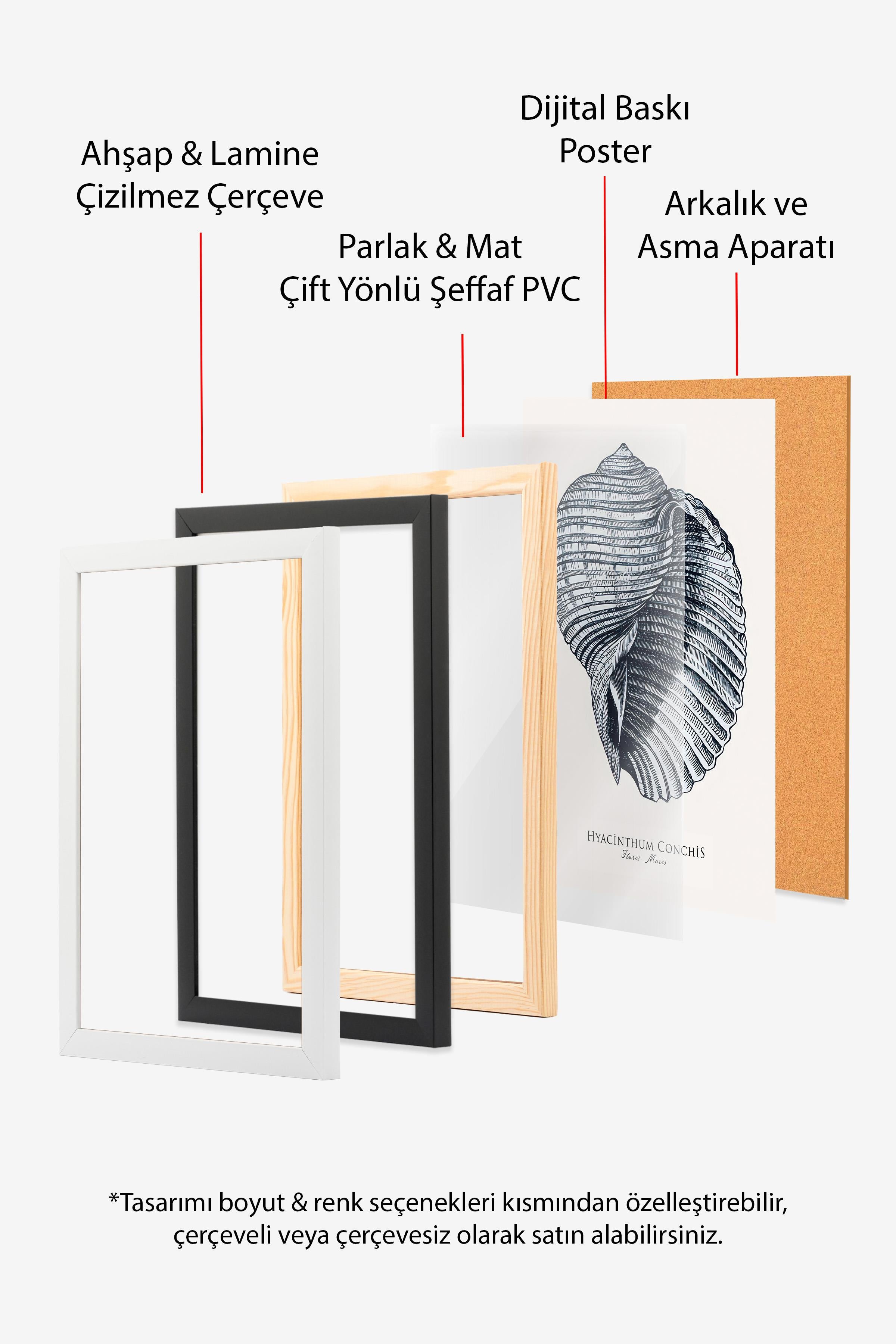 Blue Seashell  Çerçeveli Tablo, Beyaz Çerçeve ve Poster, Duvar Tablosu Comfort Serisi NO:108439