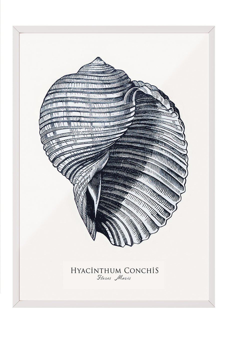 Blue Seashell  Çerçeveli Tablo, Beyaz Çerçeve ve Poster, Duvar Tablosu Comfort Serisi NO:108439
