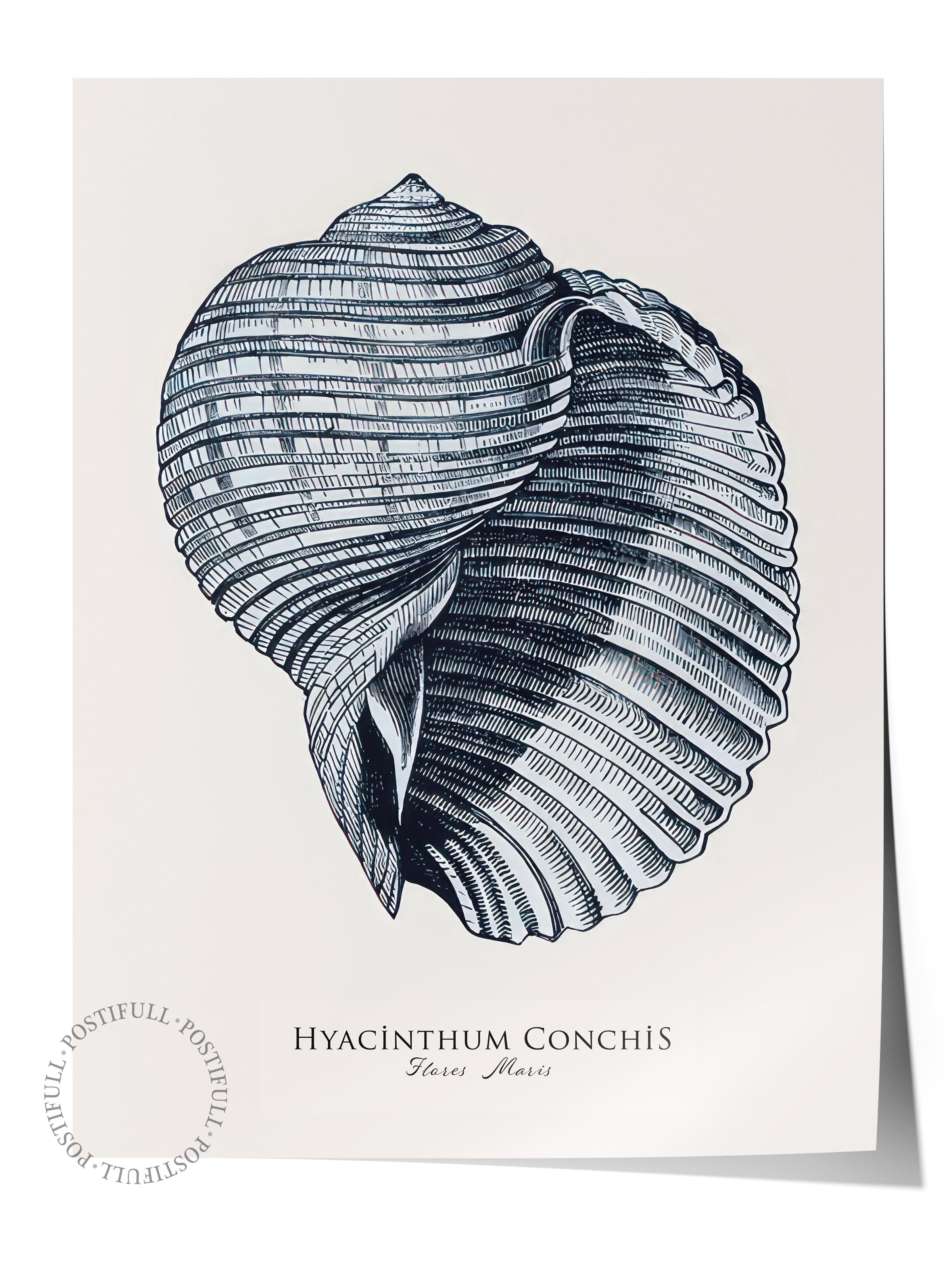 Blue Seashell  Poster, Çerçevesiz Duvar Posteri, Dikey Duvar Tablosu Comfort Serisi NO:108439