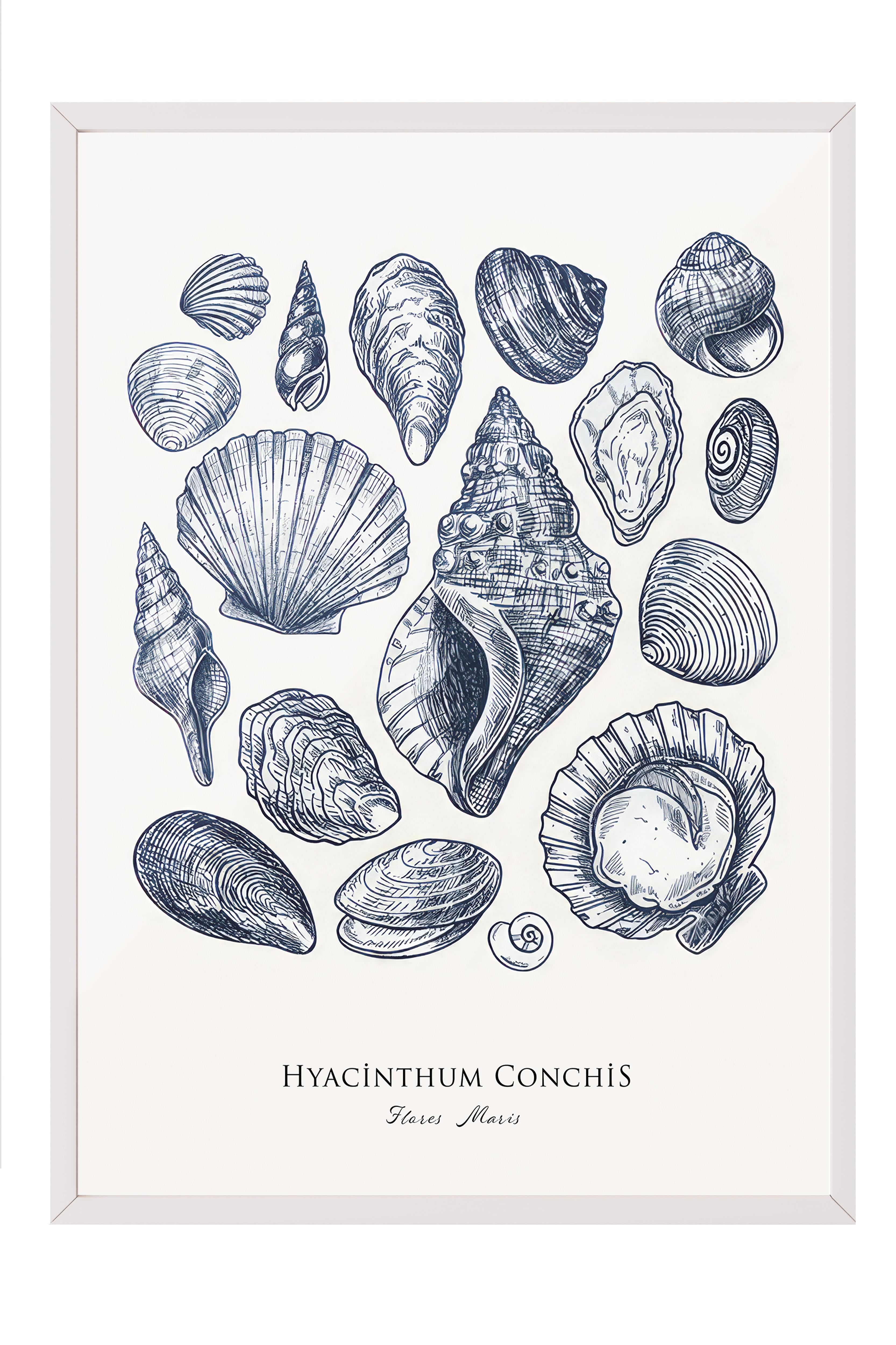 Blue Shells Çerçeveli Tablo, Beyaz Çerçeve ve Poster, Dikey Duvar Tablosu Comfort Serisi NO:108436