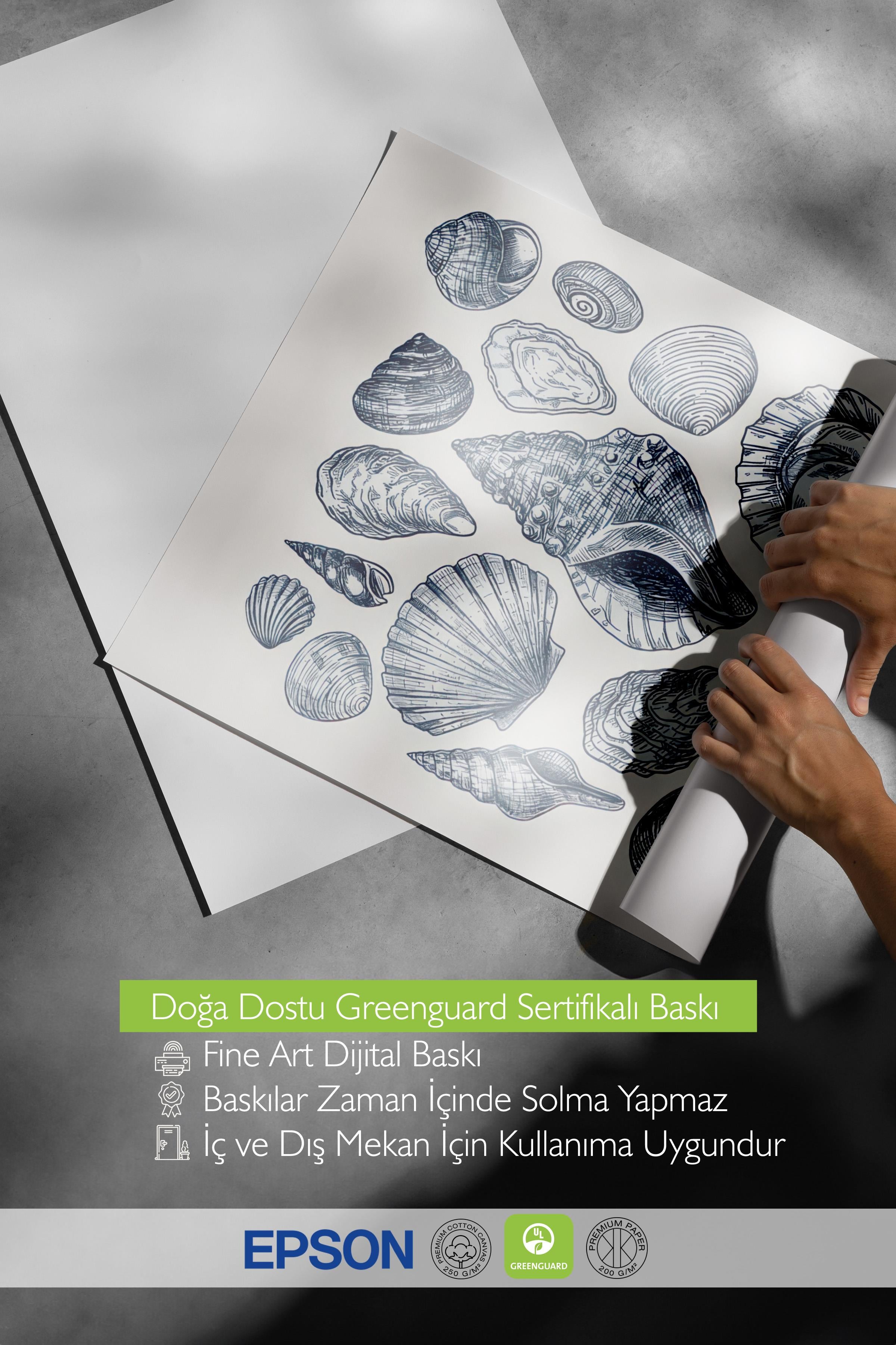 Blue Shells Poster, Çerçevesiz Duvar Posteri, Dikey Duvar Tablosu Comfort Serisi NO:108436