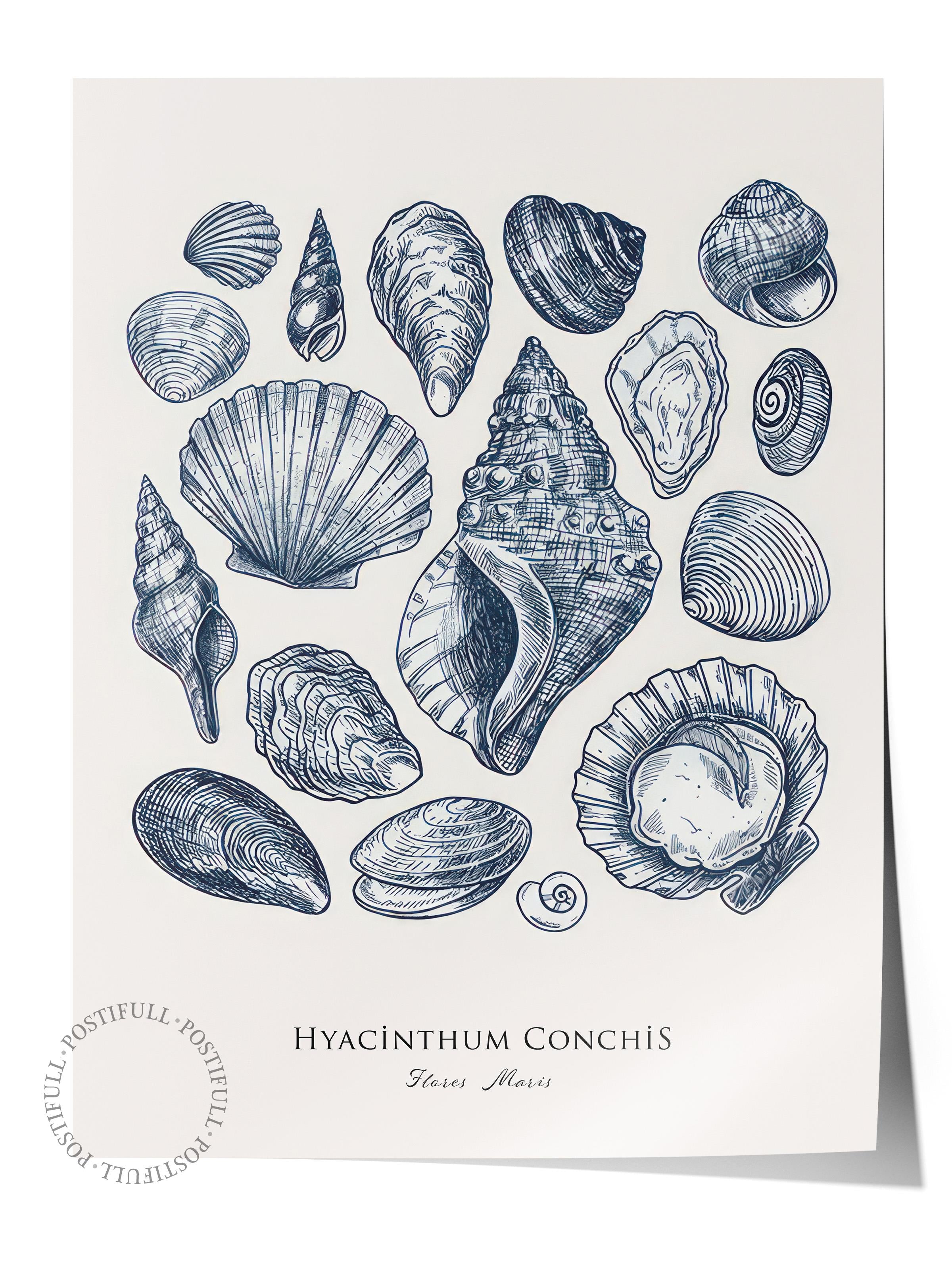 Blue Shells Poster, Çerçevesiz Duvar Posteri, Dikey Duvar Tablosu Comfort Serisi NO:108436