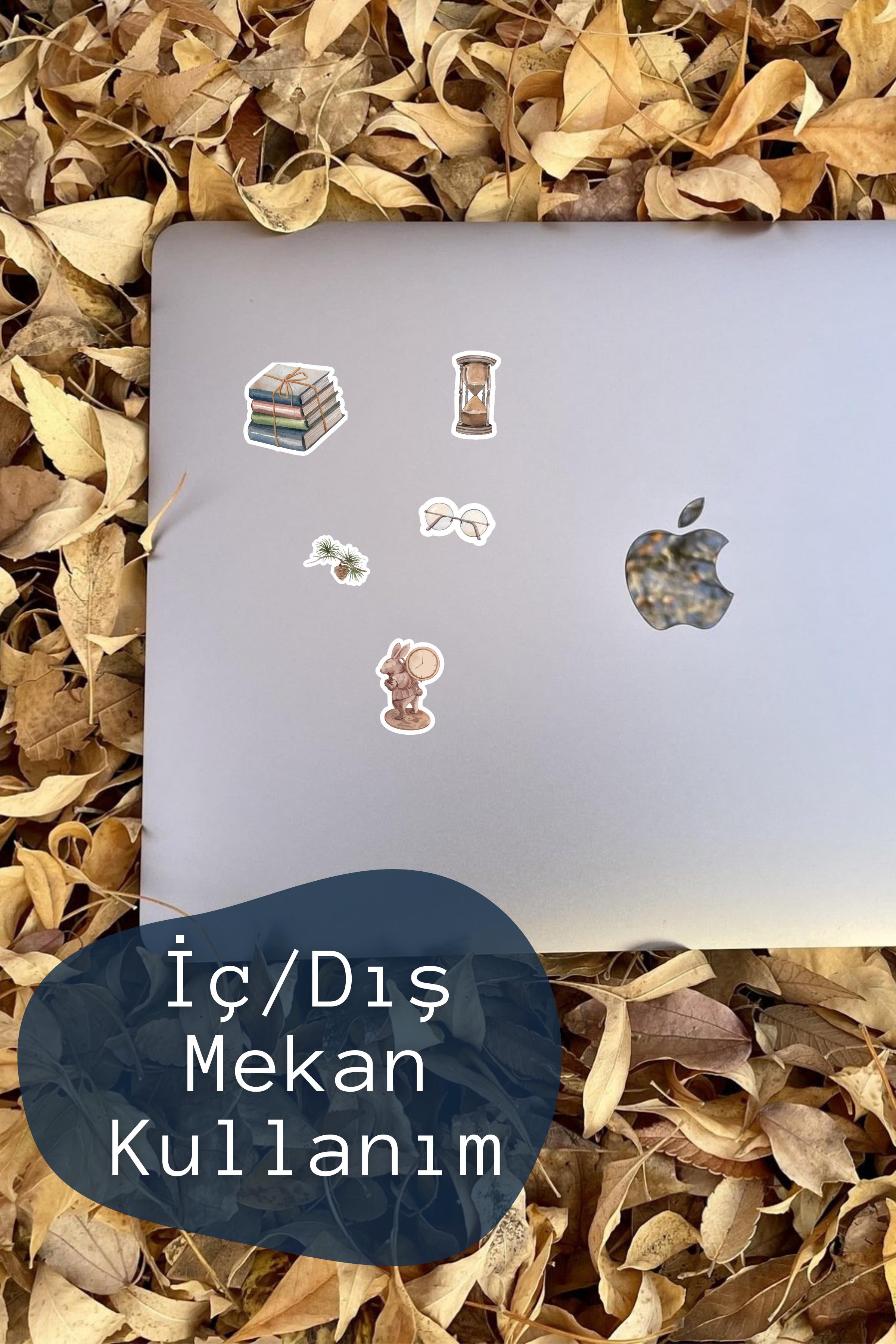 Books & Art Temalı Sticker ve Etiket Seti - Orta Boy - Su Geçirmez, Kalın Yapışkanlı Sticker Seti